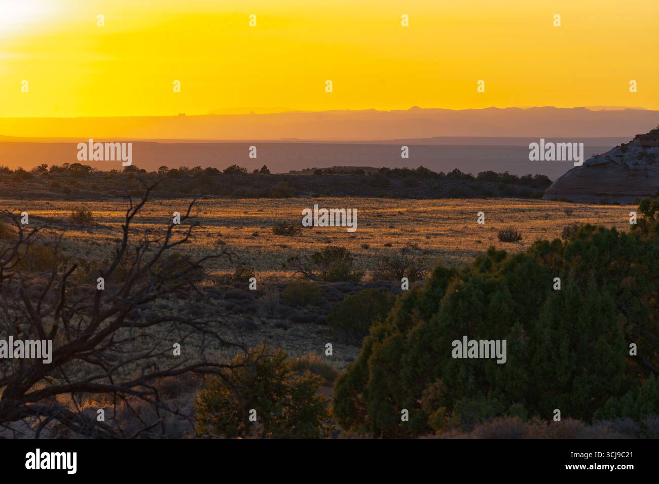 Un paesaggio desertico mozzafiato si illumina sotto l'intensa luce dorata di un tramonto o di un'alba. Il cielo è un giallo vibrante, quasi monocromatico, g Foto Stock