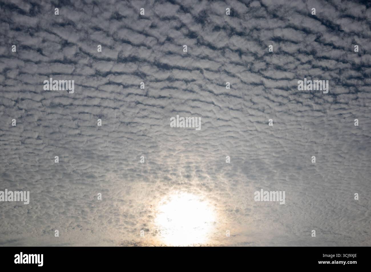 Il sole splende attraverso la copertura di nuvole altocumulus Foto Stock