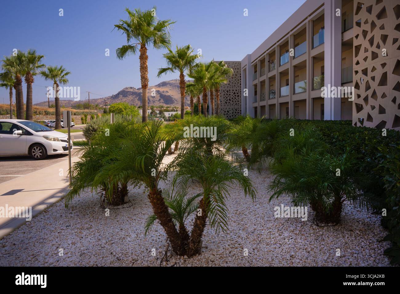 prato con giovani palme sul terreno di un lussuoso resort hotel in un paese caldo Foto Stock
