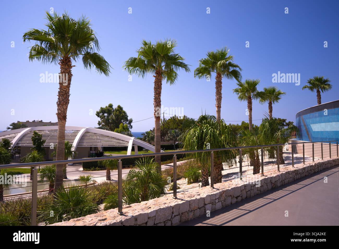 il territorio di un complesso alberghiero con un vicolo di palme in un paese caldo nel sud Foto Stock