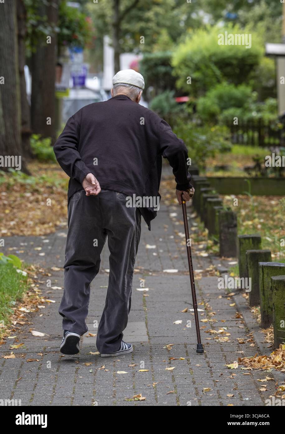Uomo anziano che va a fare una passeggiata con l'aiuto di un bastone da passeggio, Renania settentrionale-Vestfalia, Germania Foto Stock