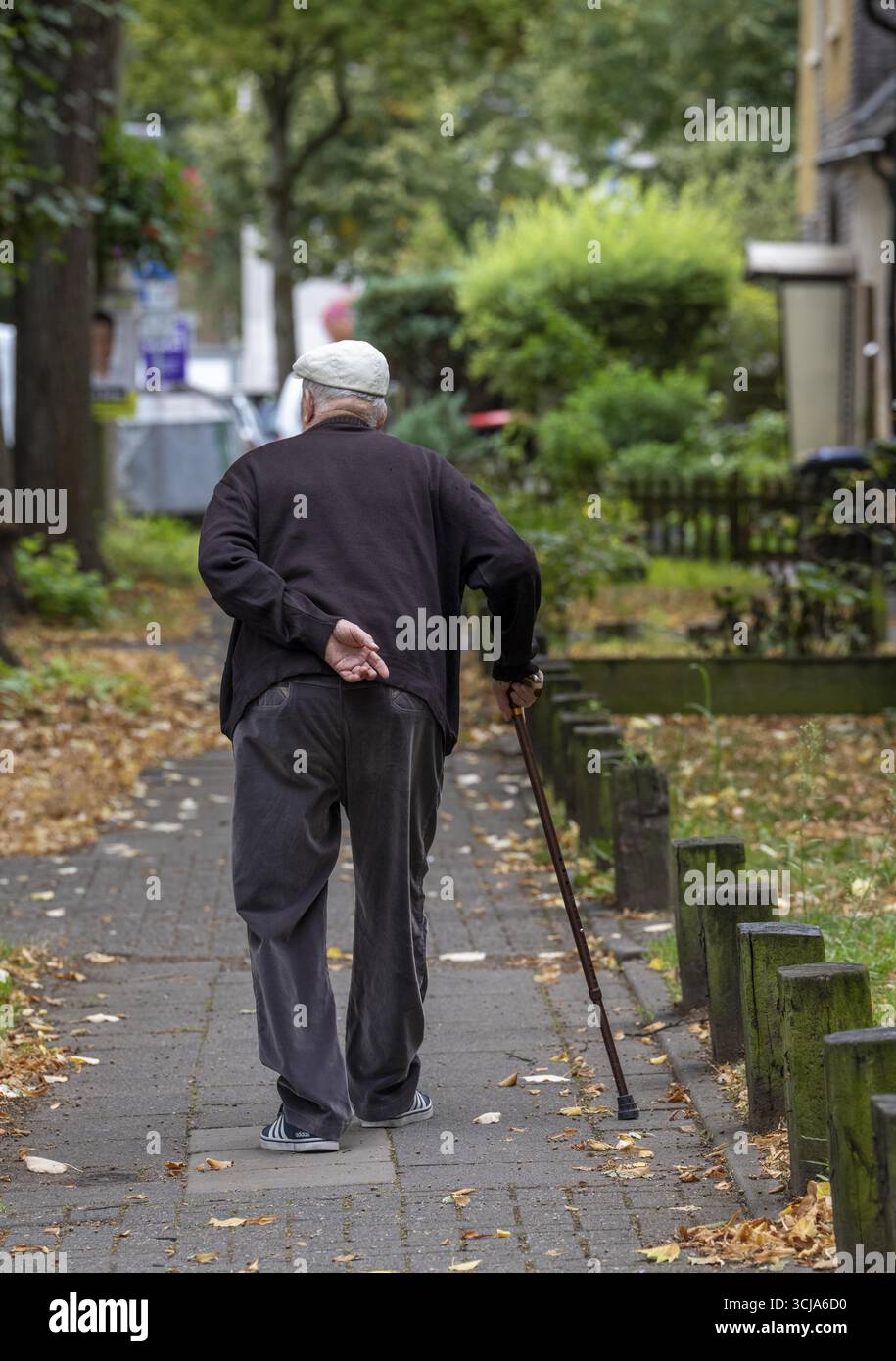 Uomo anziano che va a fare una passeggiata con l'aiuto di un bastone da passeggio, Renania settentrionale-Vestfalia, Germania Foto Stock