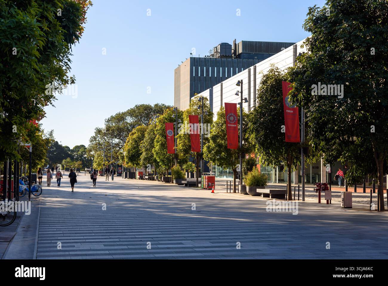 Bandiere sui lampioni che corrono lungo Eastern Avenue nel campus di Camperdown dell'Università di Sydney Foto Stock