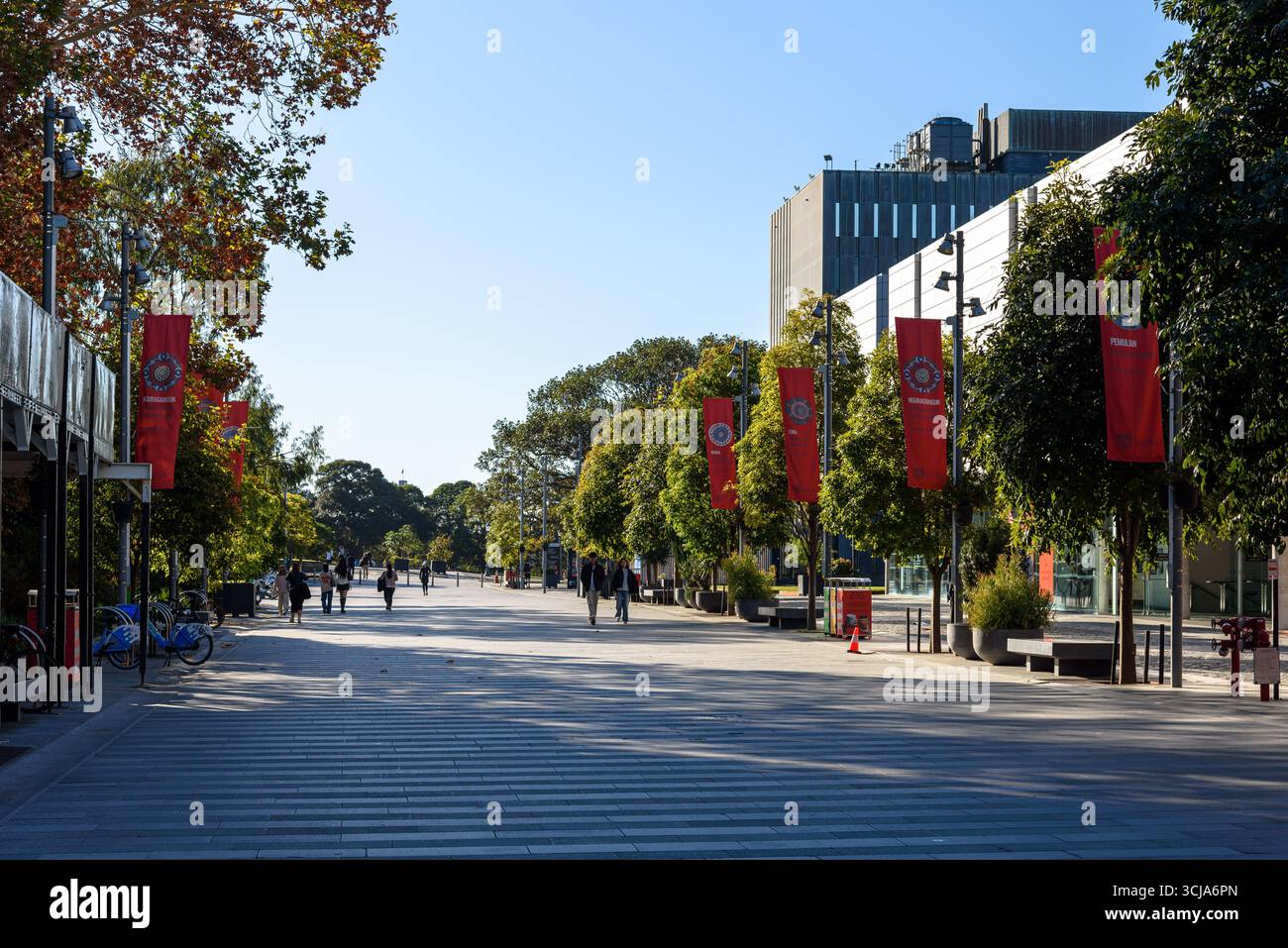 Bandiere sui lampioni che corrono lungo Eastern Avenue nel campus di Camperdown dell'Università di Sydney Foto Stock