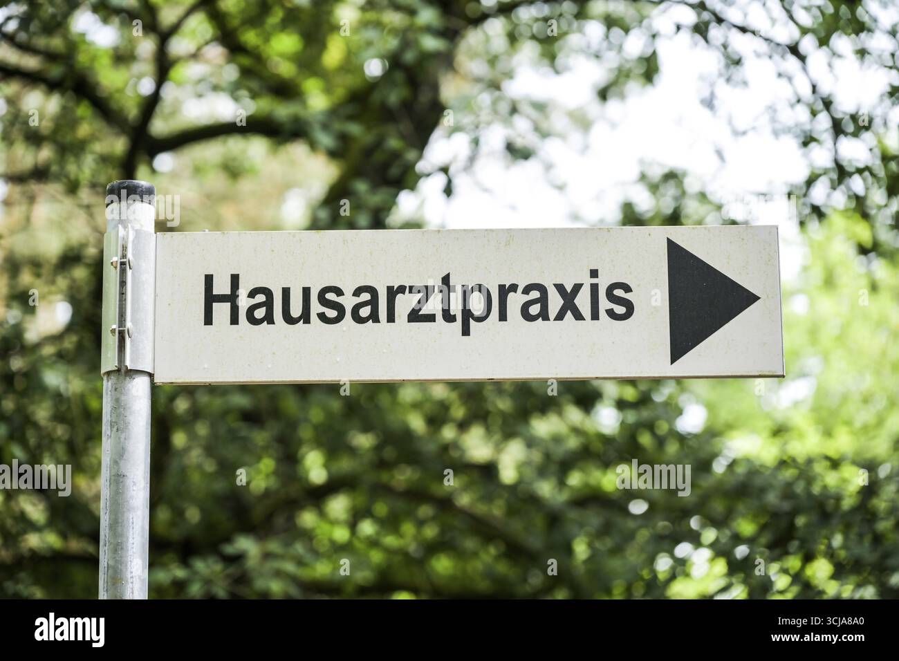 Scudo, pratica familiare, Potsdam, Brandeburgo, Germania Foto Stock