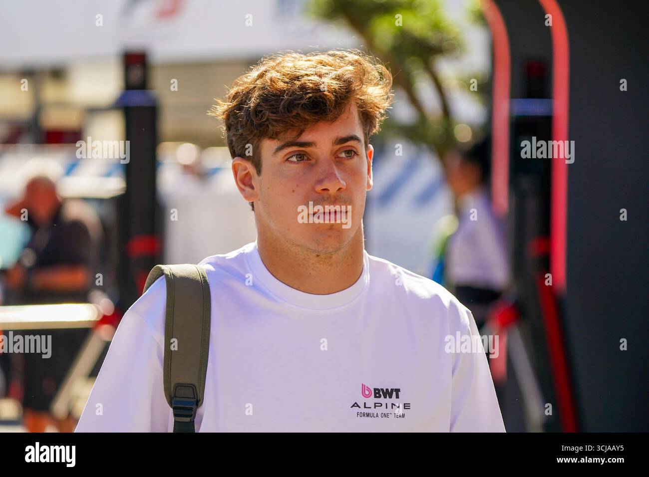 Franco Colapinto (ARG) - Alpine F1 durante la Formula 1 Pirelli Gran Premio d'Italia 2025 sul circuito di Monza, Lombardia, Italia, dal 6 al 9 settembre 2025. 16° round del Campionato del mondo di Formula 1 FIA 2025. Foto Stock