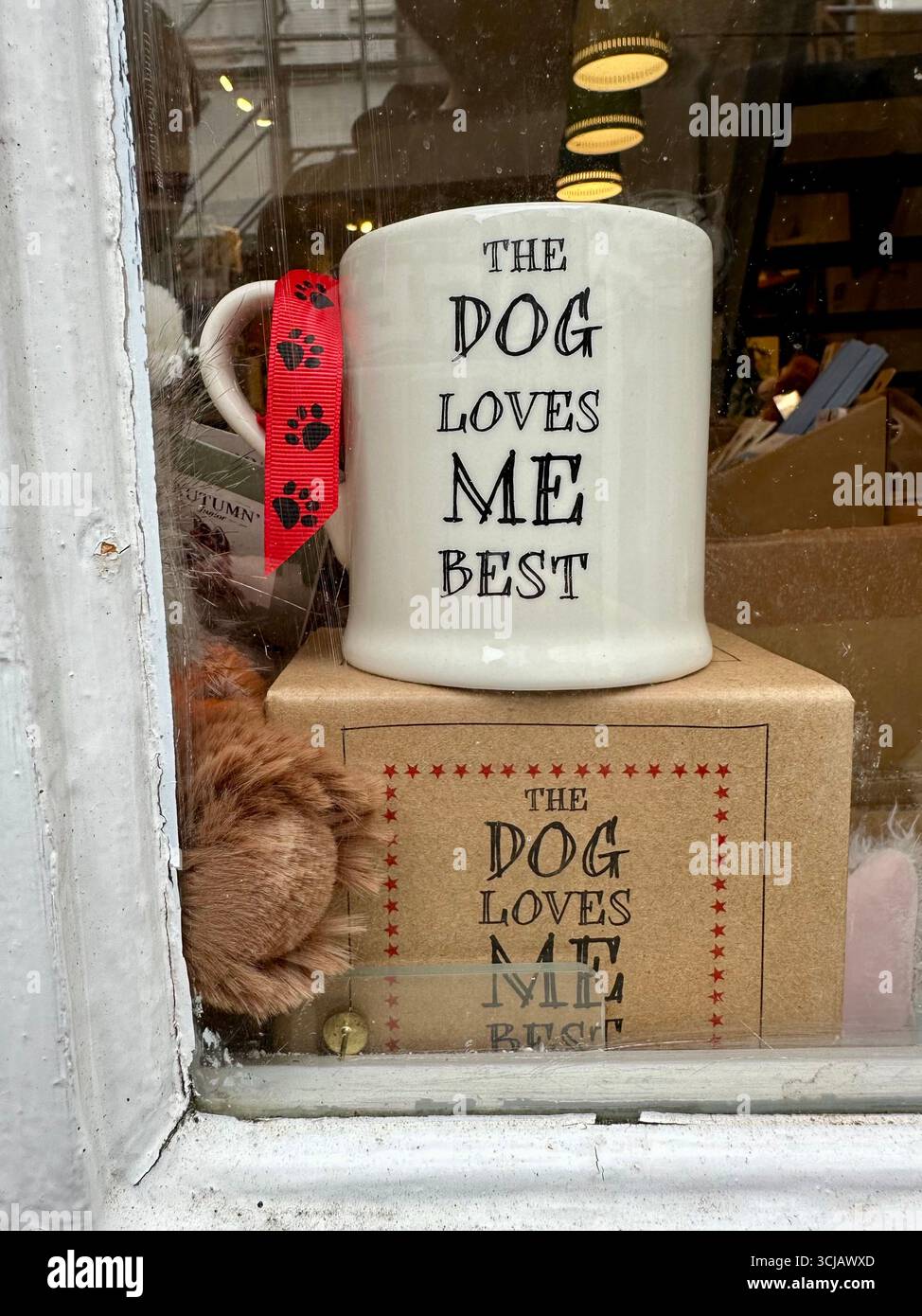 Una tazza che dice che il cane mi ama meglio in mostra in una vetrina - Immagine stock catturata con smartphone