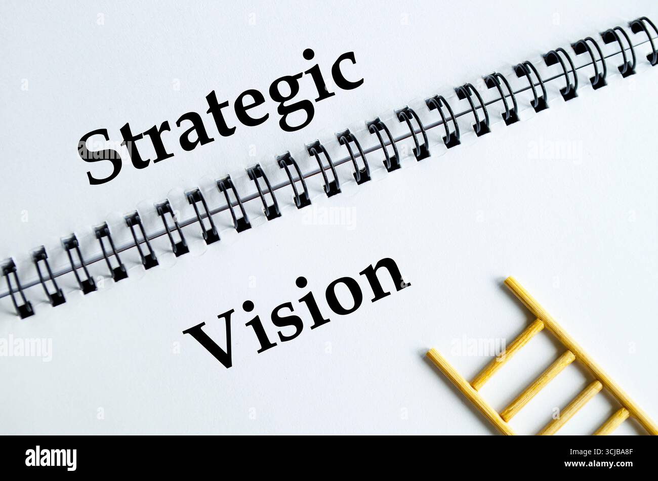 Visione strategica, notebook con illustrazione a scala che simboleggia lungimiranza, pianificazione e direzione a lungo termine Foto Stock