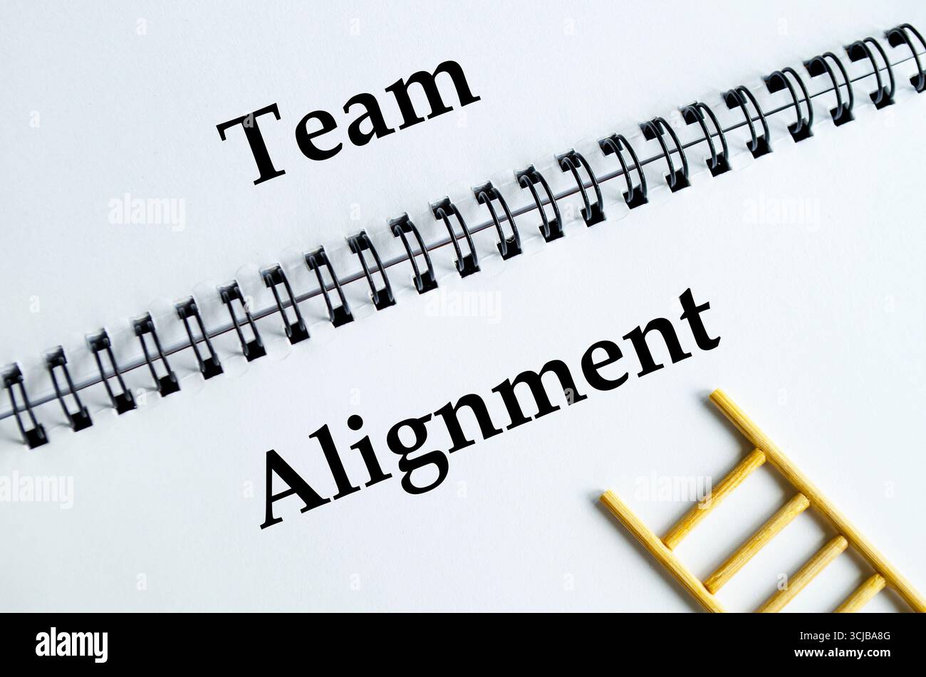 Allineamento dei team, notebook e ladder che illustrano l'unità del lavoro di squadra e la collaborazione coordinata Foto Stock