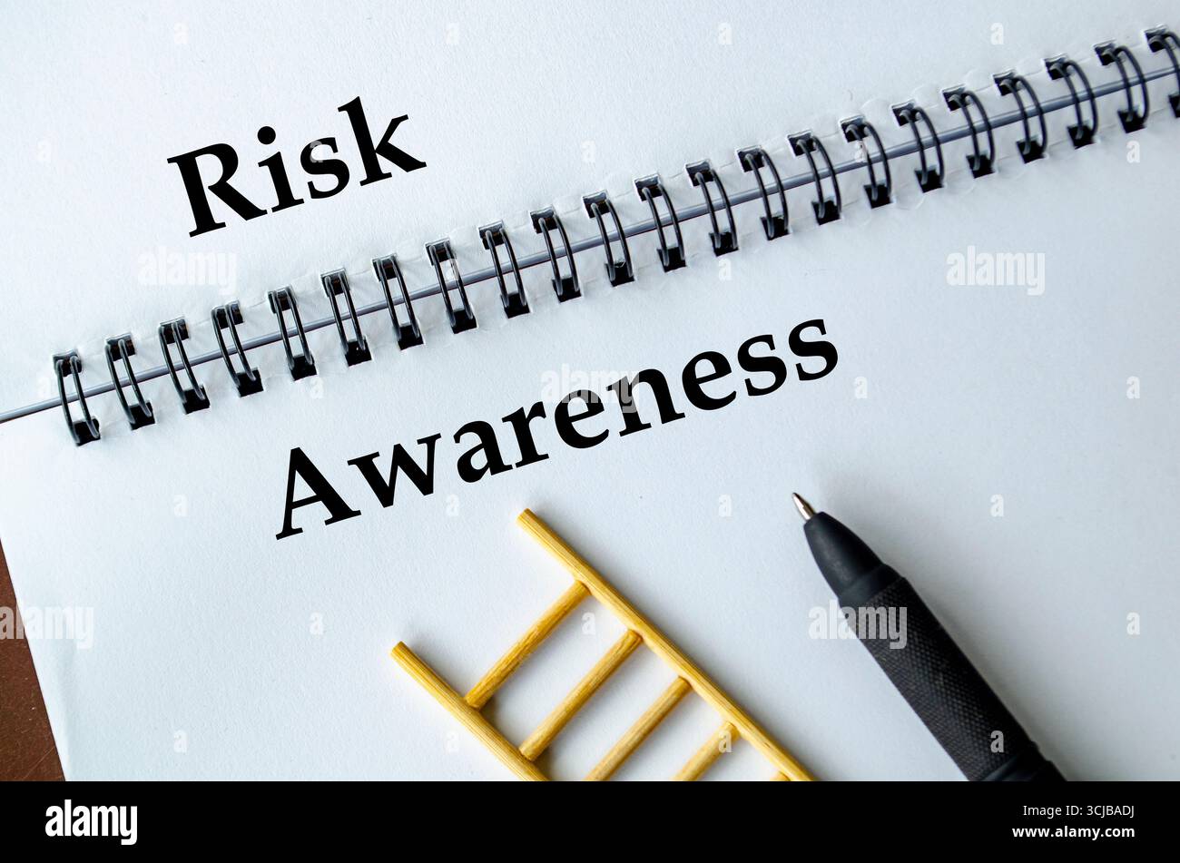 Consapevolezza dei rischi, notebook con illustrazione a scala che simboleggia preparazione, responsabilità e pianificazione consapevole Foto Stock