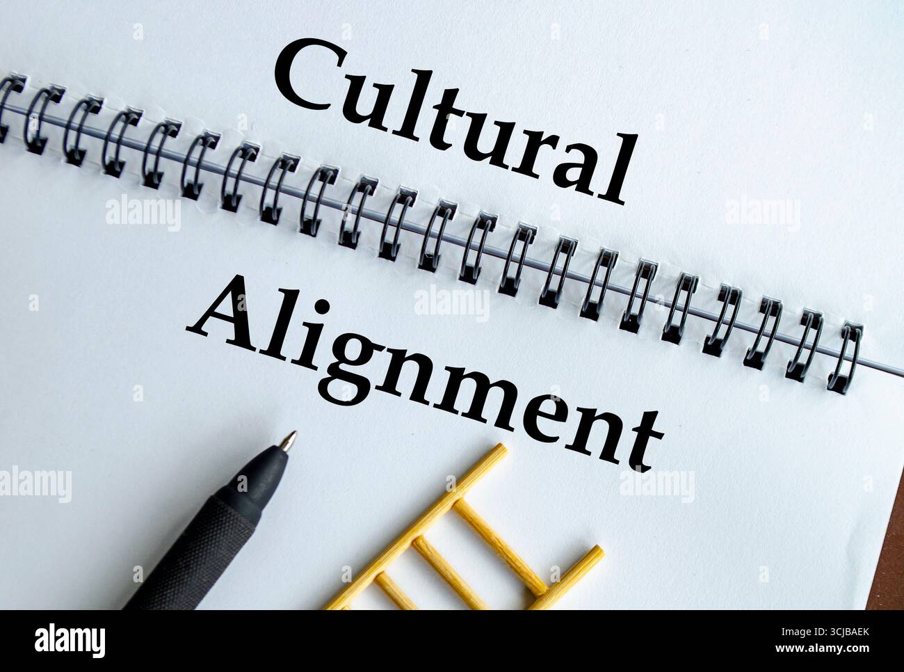 Allineamento culturale, notebook con illustrazione a scala che rappresenta valori, armonia e identità condivisi Foto Stock