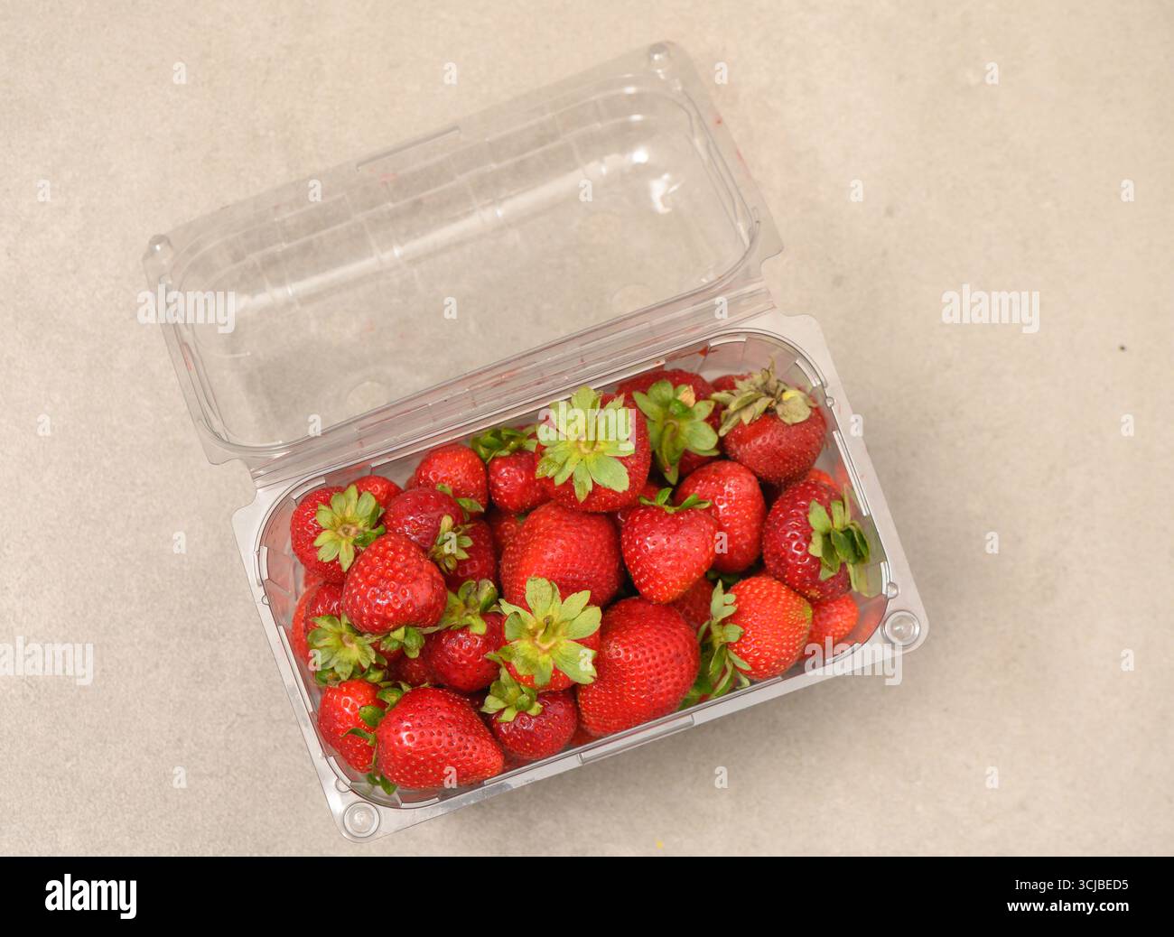 Fragole mature disposte in modo ordinato in un vassoio di plastica trasparente sul tavolo, perfette per il confezionamento di alimenti e la fotografia commerciale. Foto Stock