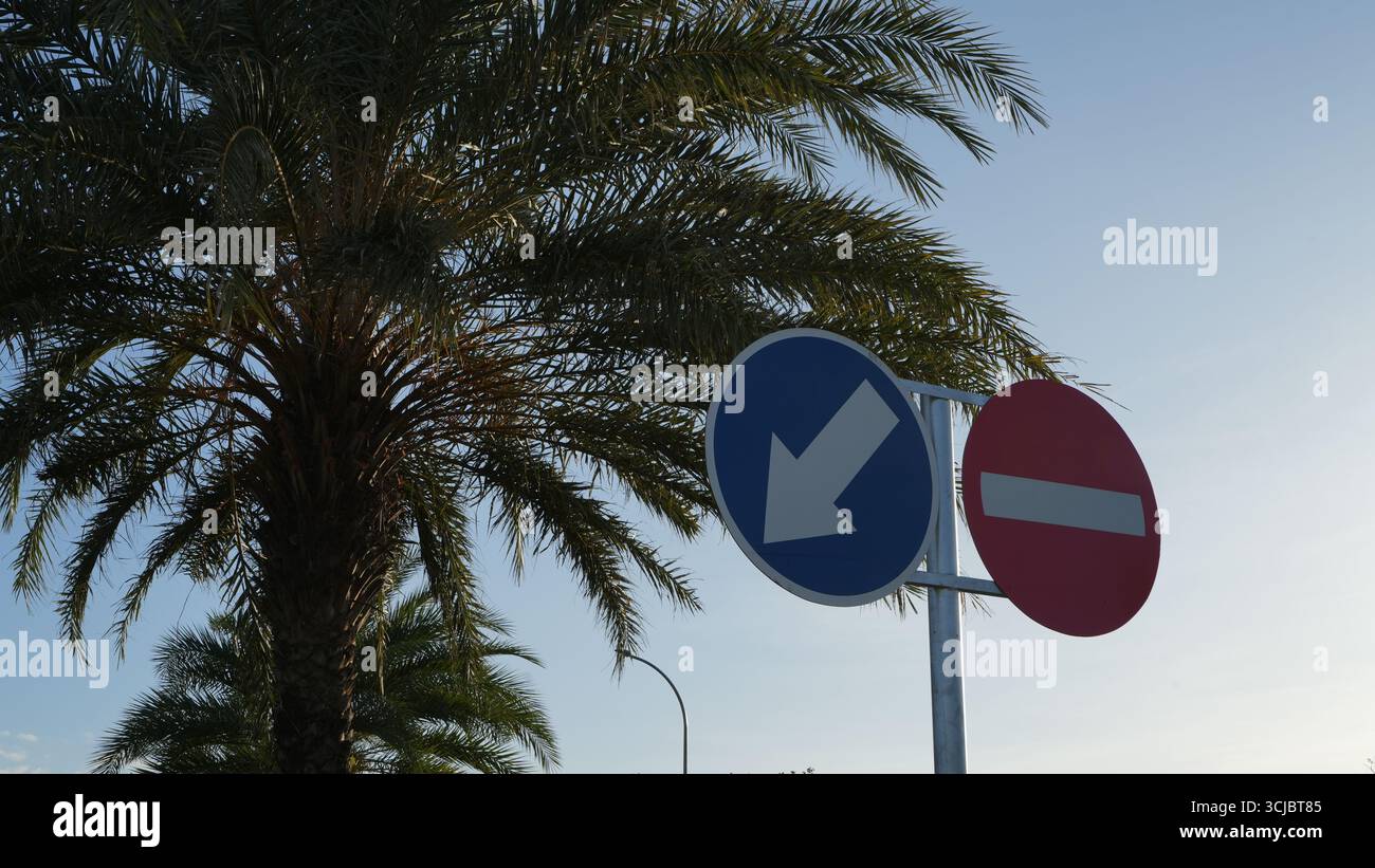 Segnali stradali "Mantieni la sinistra" e "nessun ingresso" per veicoli con sfondo di palma. Foto Stock