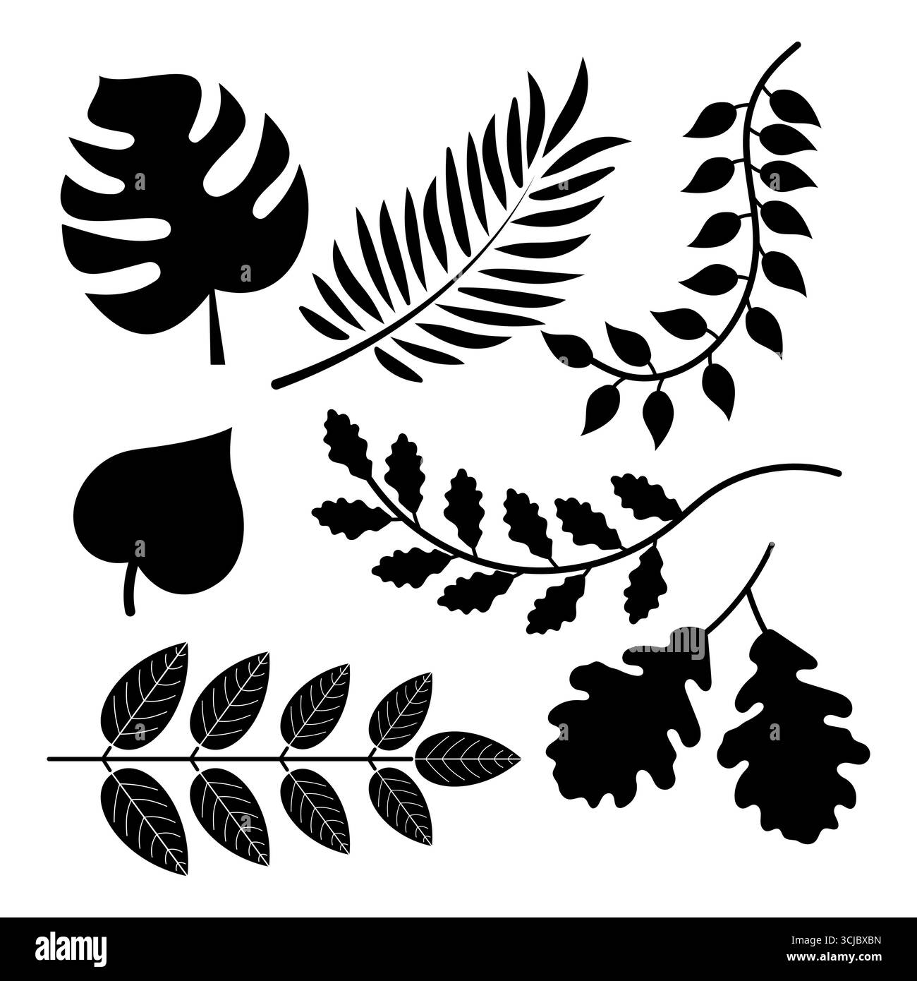 Collezione silhouette di foglie decorative. Un set dalla silhouette nera con una collezione di diverse foglie decorative. Illustrazione Vettoriale