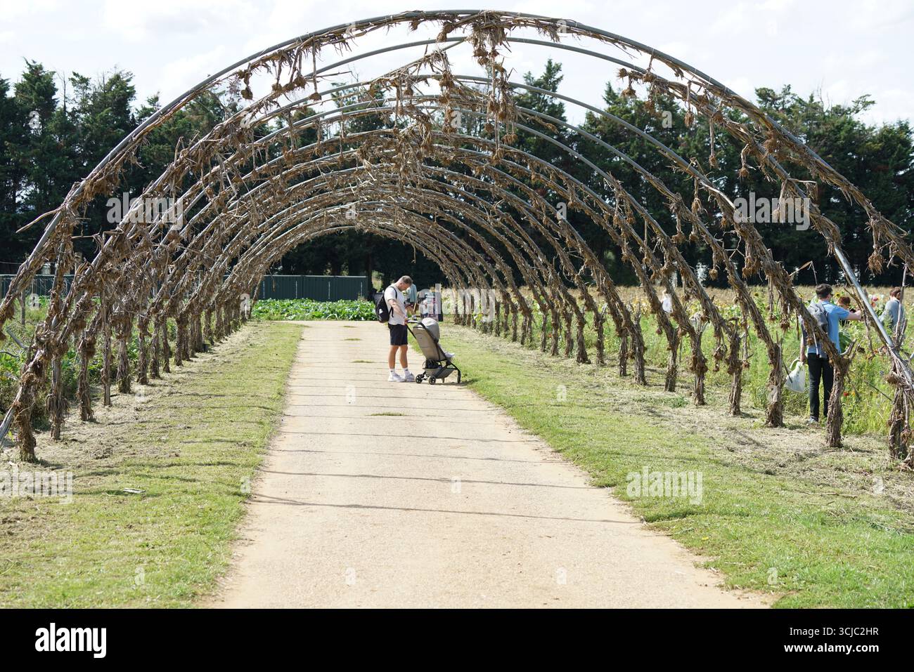 La famiglia passeggia attraverso il Canopy Tunnel nel presso il sito agricolo in Clear Day. Milford, Inghilterra Foto Stock
