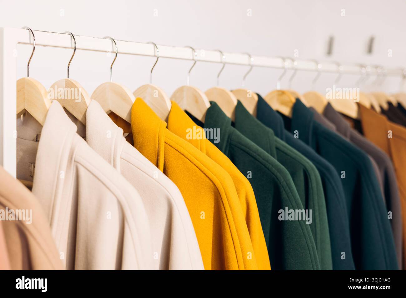 Una vivace mostra di colorati cappotti autunnali appesi ordinatamente su grucce di legno in un negozio. Ogni cappotto sfoggia diverse tonalità calde, creando un ambiente accogliente Foto Stock