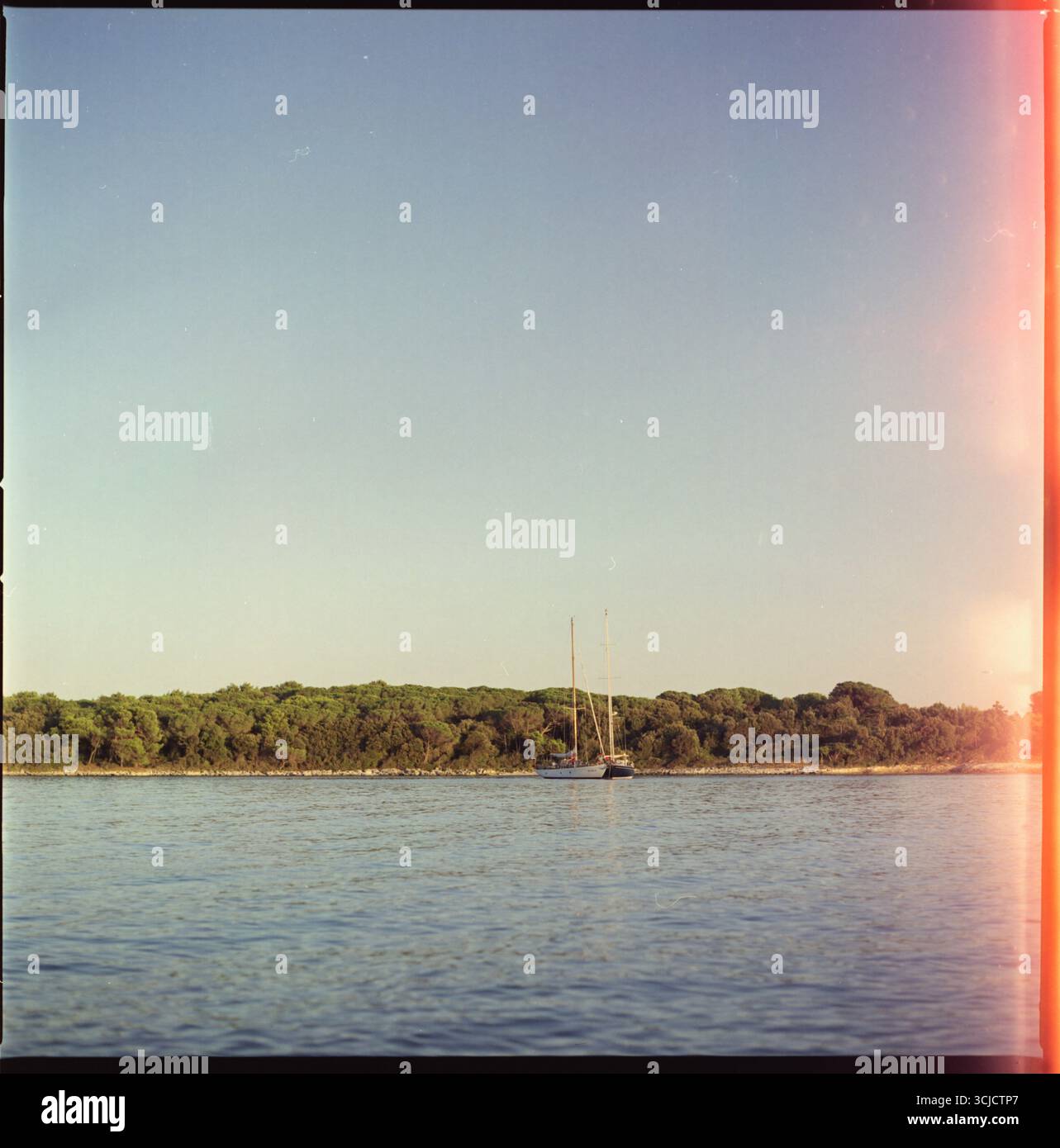 Archivio analogico documentario Photo Dairy Foto Stock