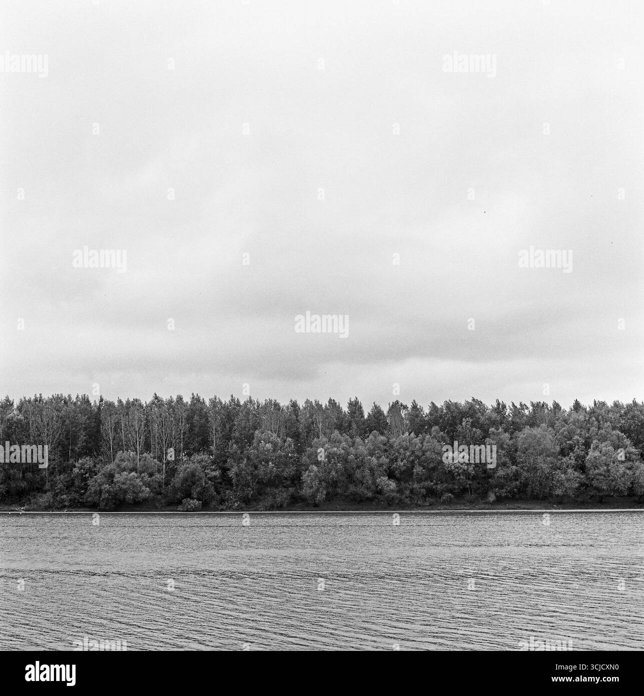 Fotografia analogica in bianco e nero di formato medio del fiume Tisa sotto un cielo nuvoloso, stratificata con foresta, acqua e cielo in una composizione minimalista Foto Stock