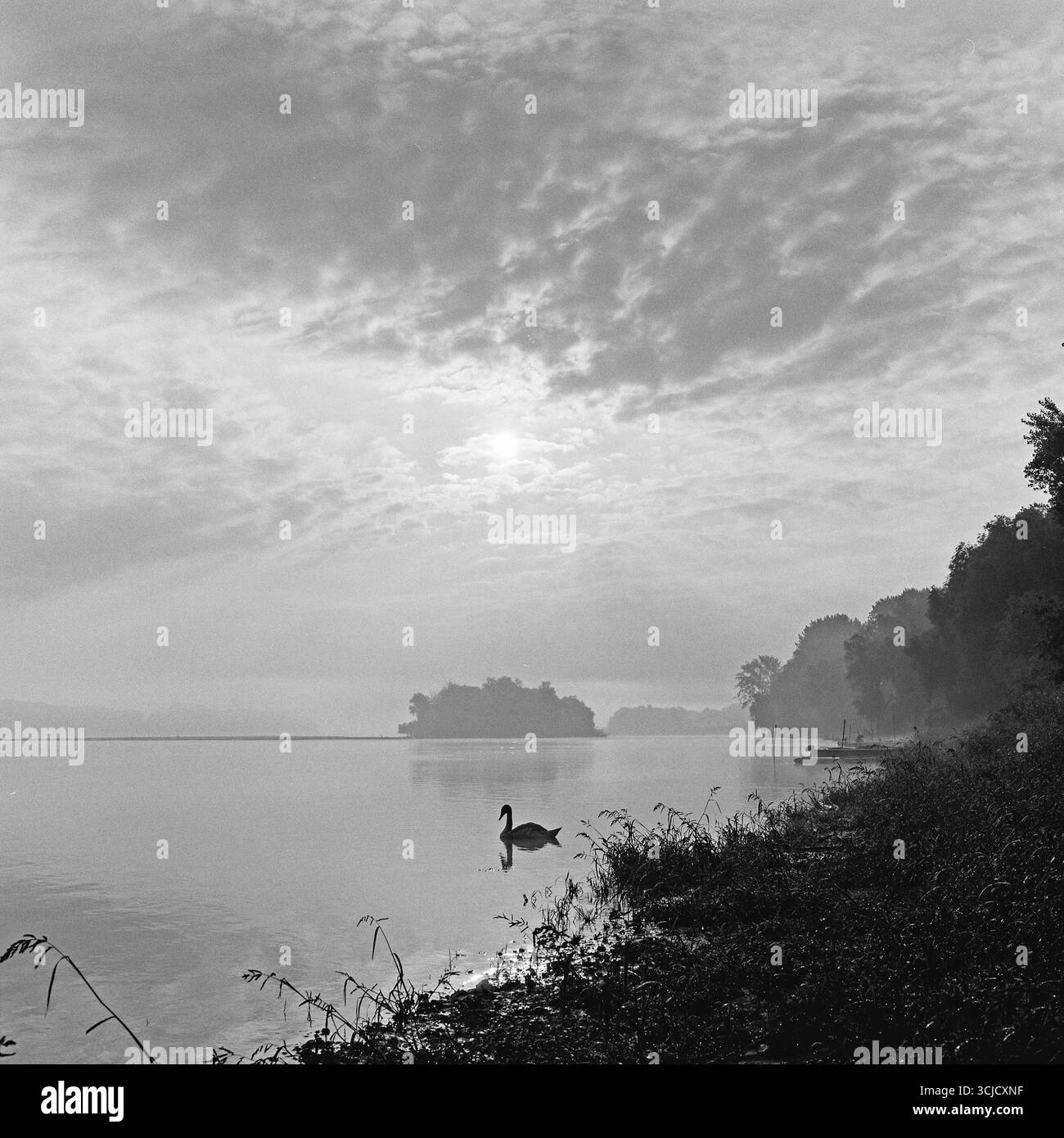 Luce soffusa che filtra tra le nuvole, con Lapad in silhouette contro un cielo luminoso, creando una fotografia analogica atmosferica e calma. Foto Stock