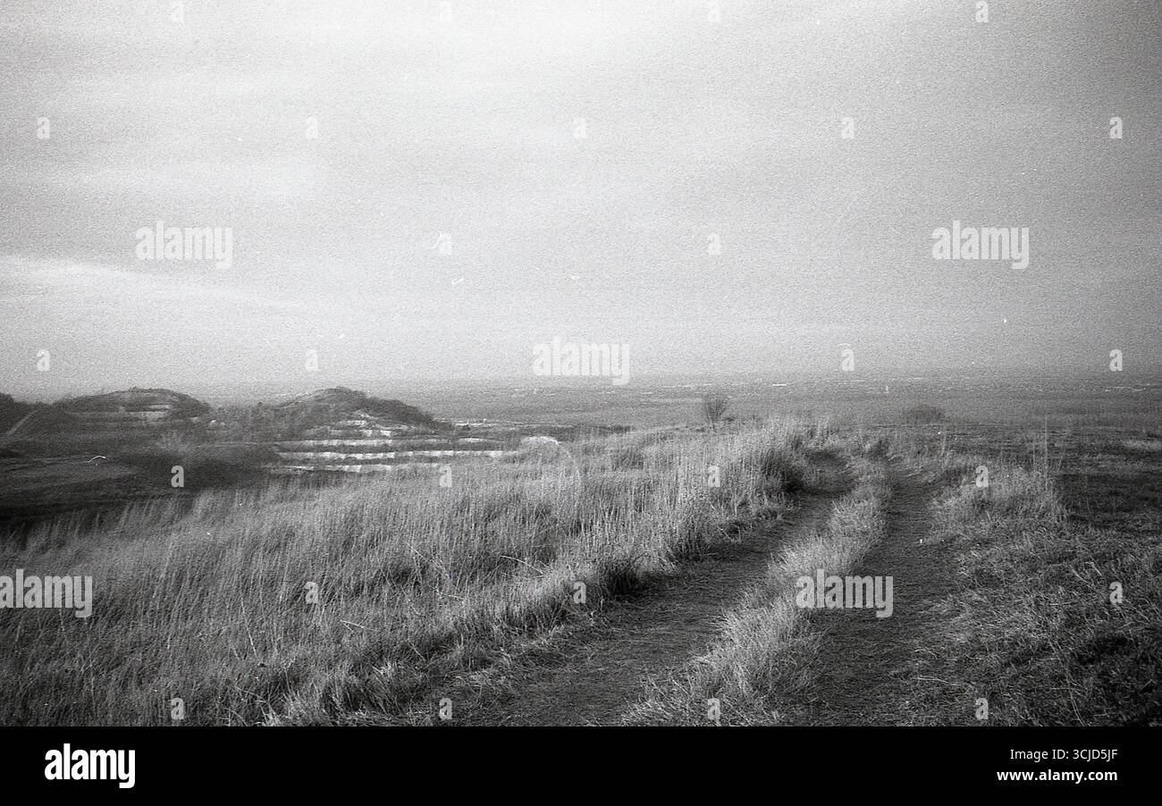 L'immagine cattura un momento tranquillo nella natura, mescolando texture analogiche con luce soffusa e forme organiche. Foto Stock