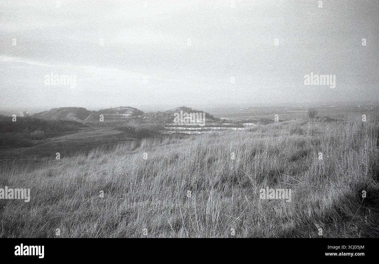 L'immagine cattura un momento tranquillo nella natura, mescolando texture analogiche con luce soffusa e forme organiche. Foto Stock