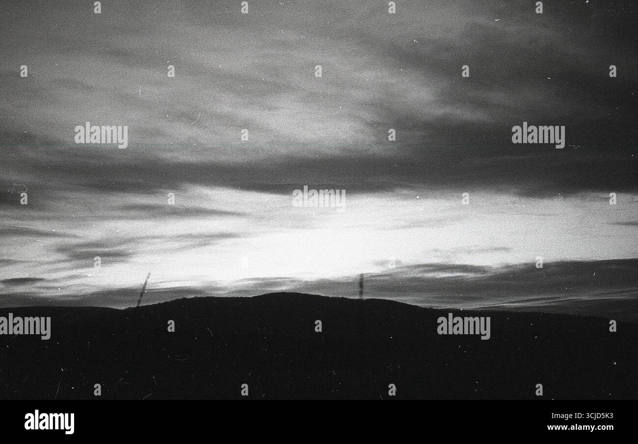 L'immagine cattura un momento tranquillo nella natura, mescolando texture analogiche con luce soffusa e forme organiche. Foto Stock