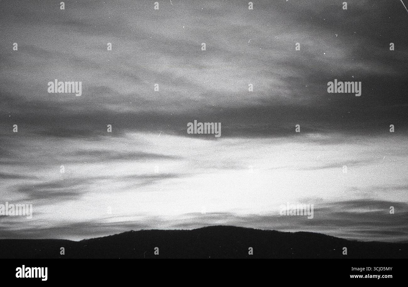 L'immagine cattura un momento tranquillo nella natura, mescolando texture analogiche con luce soffusa e forme organiche. Foto Stock