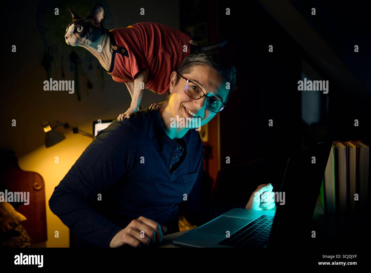 Una donna digita il suo laptop in un ufficio buio mentre il suo gatto canadese Sphynx si arrampica sulla spalla. La scena raffigura la vita lavorativa remota con Foto Stock