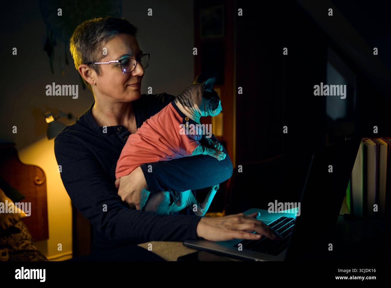 Una donna lavora sul suo laptop mentre tiene il suo gatto canadese Sphynx vicino in un ufficio domestico di notte. L'illuminazione calda della lampada crea un ambiente accogliente Foto Stock