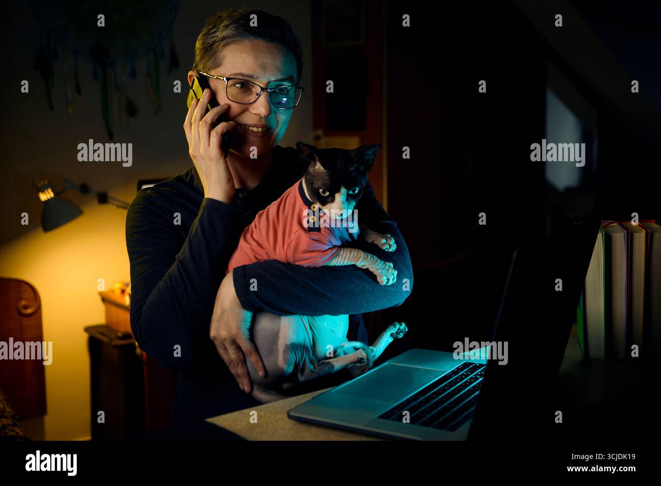Una donna di mezza età si comporta in multitasking con una telefonata mentre lavora sul suo portatile di notte, tenendo in mano il suo gatto canadese Sphynx. L'immagine ritrae WO flessibile Foto Stock