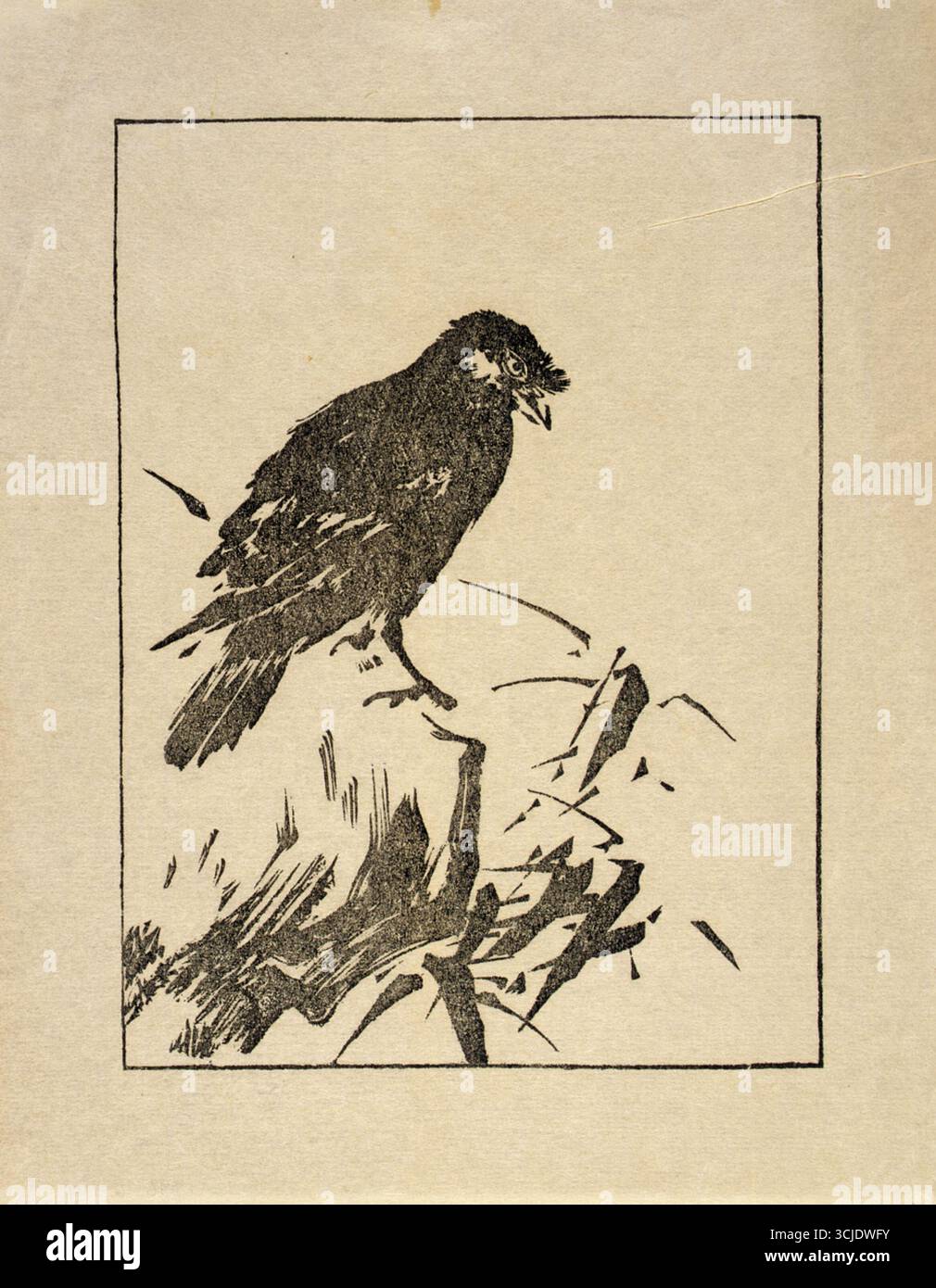 Ipswich Prints: Raven, 1902. Riproduzione fotomeccanica su carta di Arthur Wesley Dow. Questo straordinario studio in bianco e nero dimostra l'enfasi di Dow sul design semplificato, il forte contrasto e il linework espressivo. Ispirata alle tradizioni giapponesi in legno, la stampa esemplifica l'approccio di Dow all'educazione artistica, dando priorità all'equilibrio compositivo, all'armonia tonale e alla trasformazione delle forme naturali in design decorativo. Foto Stock