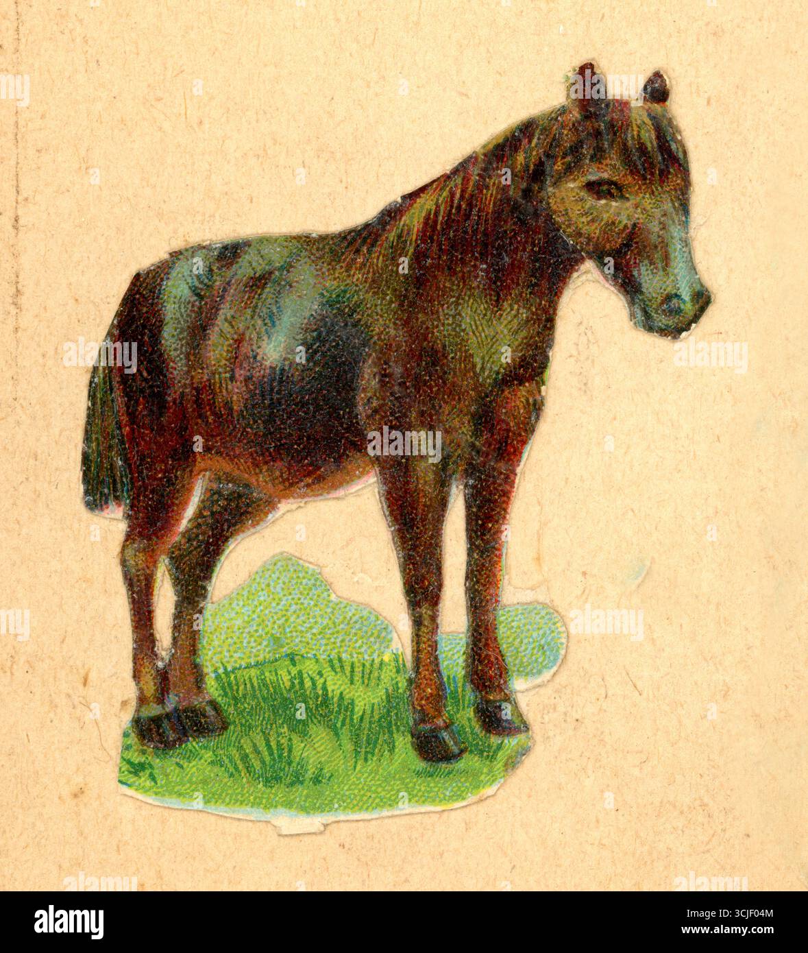 Pezzo originale di carta goffrata vittoriana con decoupage cromo-noce in rilievo da un foglietto vittoriano di un pony a baia risalente al 1890, Regno Unito Foto Stock