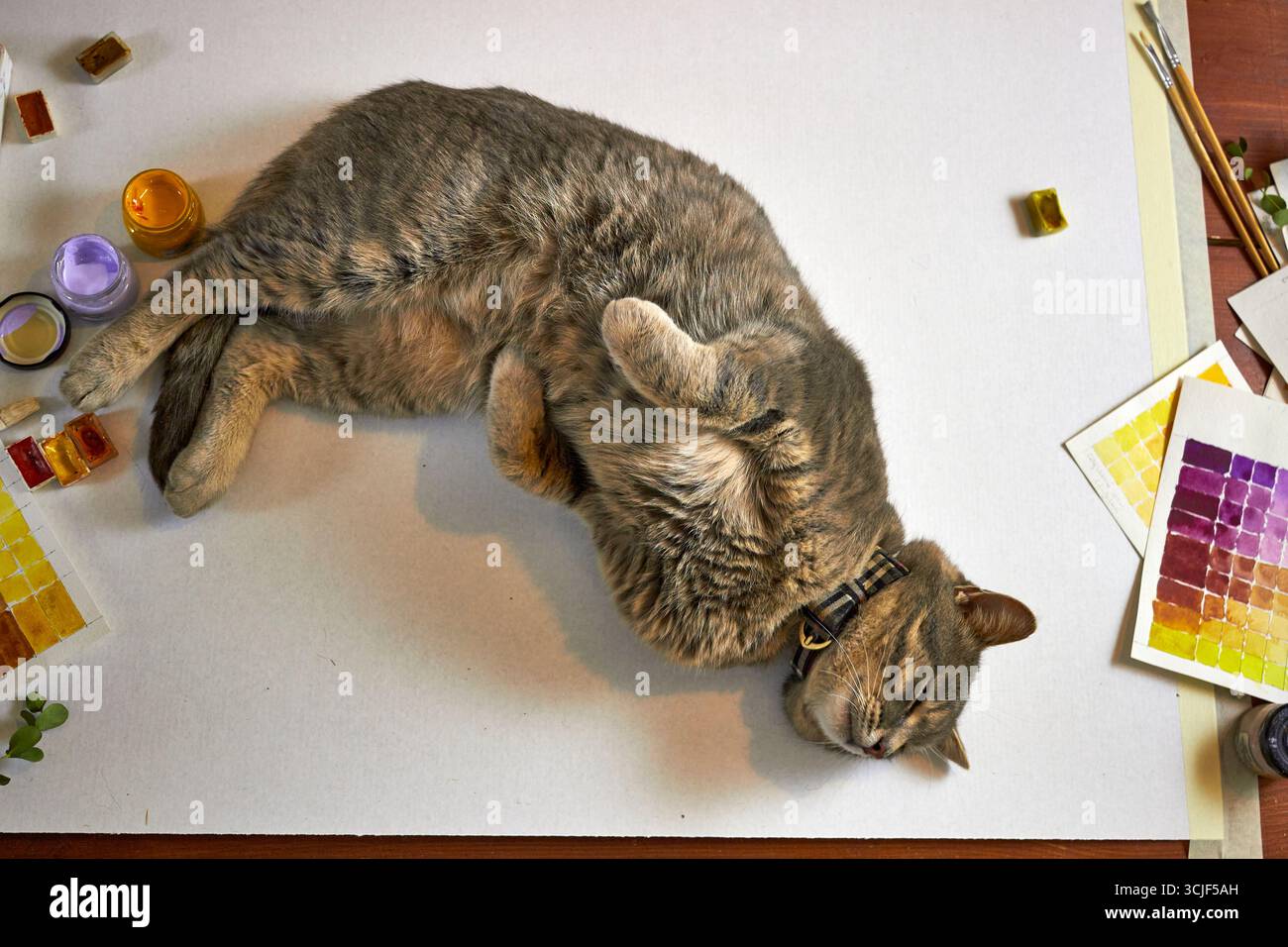 Simpatico gatto da tavola adagiato su una scrivania tra vernici ad acquerello, pennelli e campioni di colore. Spazio di lavoro accogliente e artistico con animali domestici, che unisce creatività e re Foto Stock