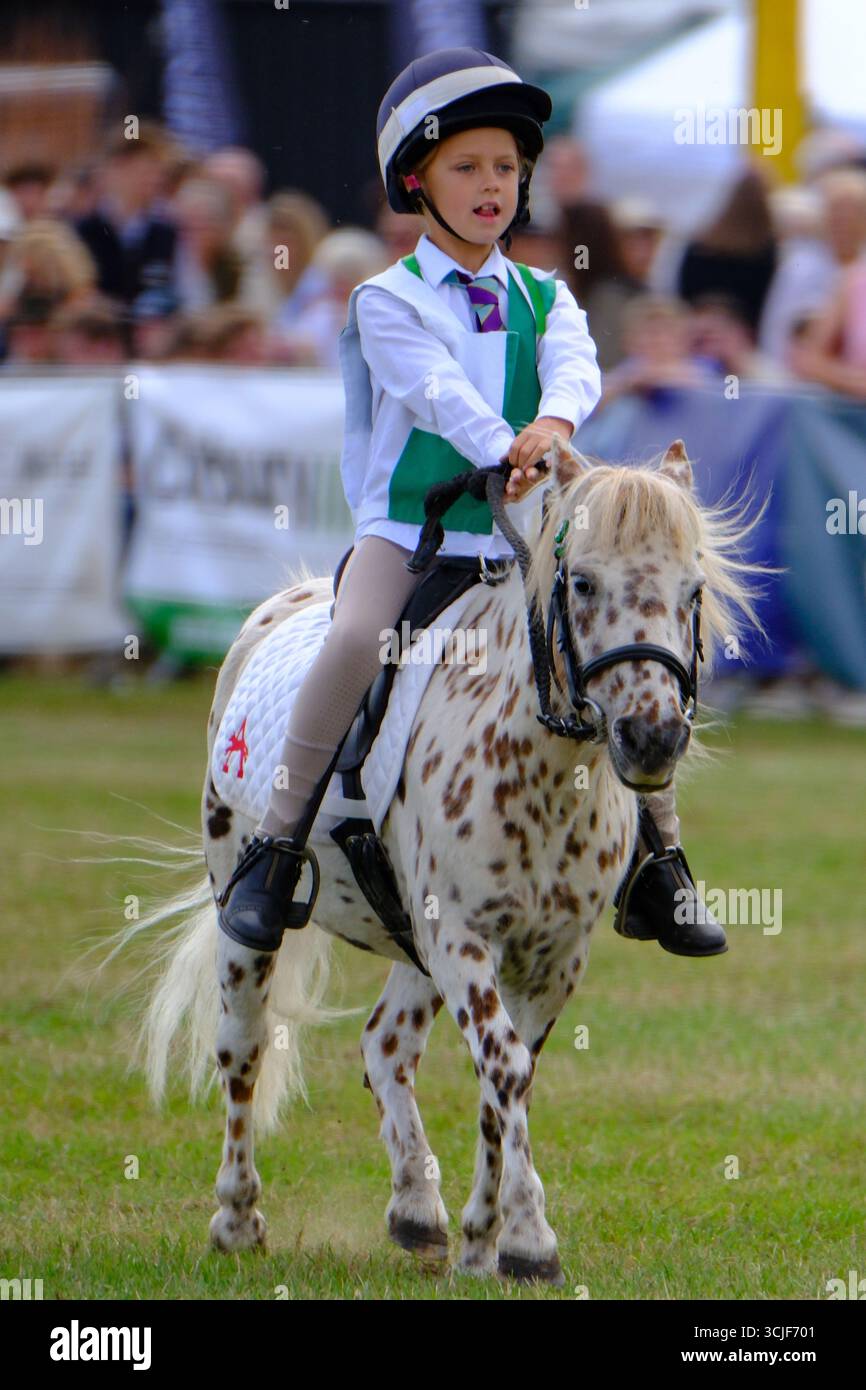Moreton-in-Marsh Gloucestershire Regno Unito. Sabato 6 settembre 2025 il Moreton Show è un vero spettacolo agricolo che celebra il meglio dell'agricoltura britannica. Conservando il suo patrimonio sin dall'inizio del 1949, lo spettacolo continua a sostenere agricoltori e coltivatori britannici, mentre celebra la brillantezza del mondo equestre e fornisce una piattaforma per le comunità locali per riunirsi e celebrare tutto il meglio della campagna britannica. Lo spettacolo di un giorno, che si tiene sempre il primo sabato di settembre, è ricco di attrazioni dell'Arena, mostre statiche interattive ed educative, exci Foto Stock