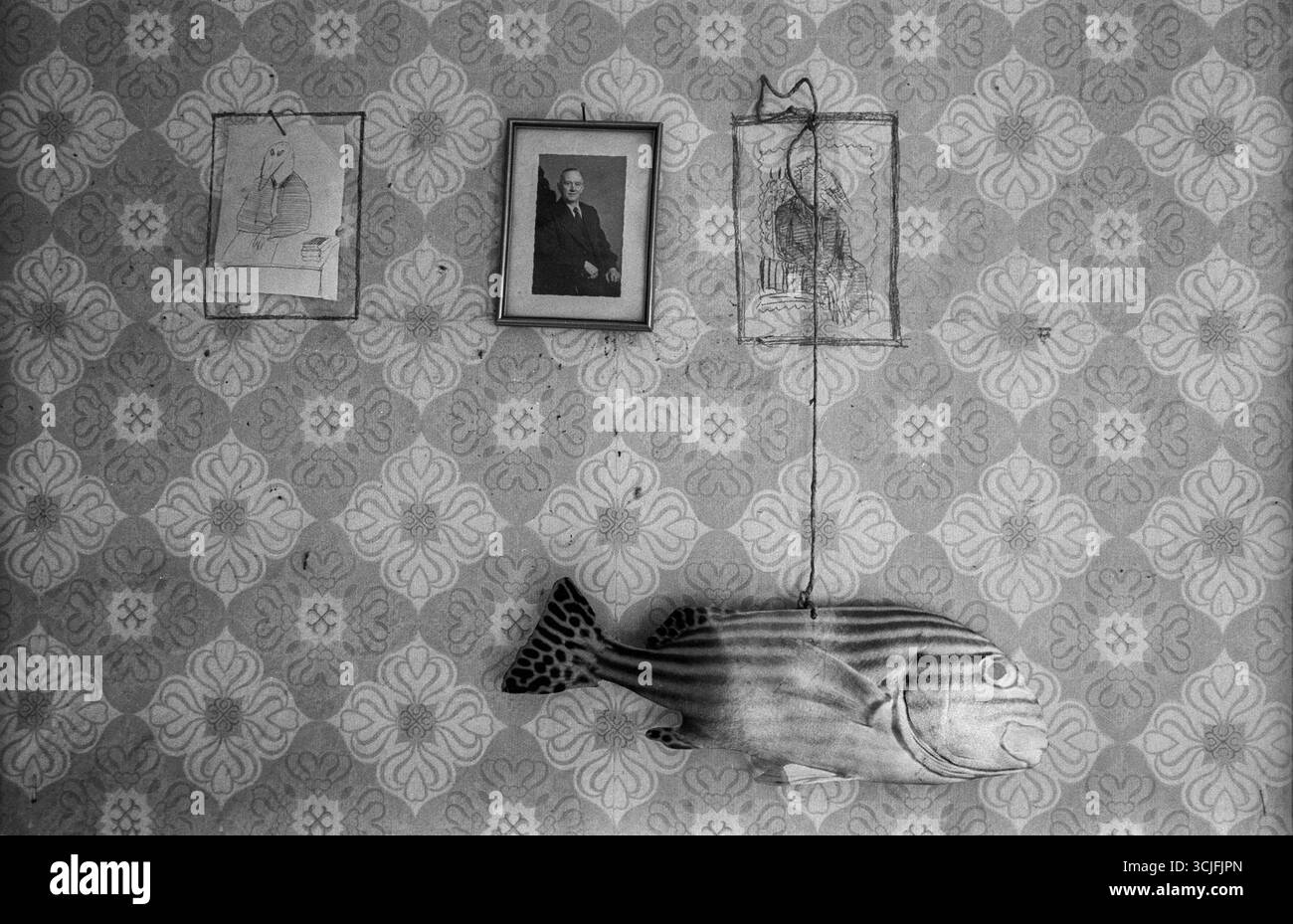 Germania, Berlino, 02.07.1992, Kastanienallee 77, casa e mostra: Pesce, foto, disegno Foto Stock