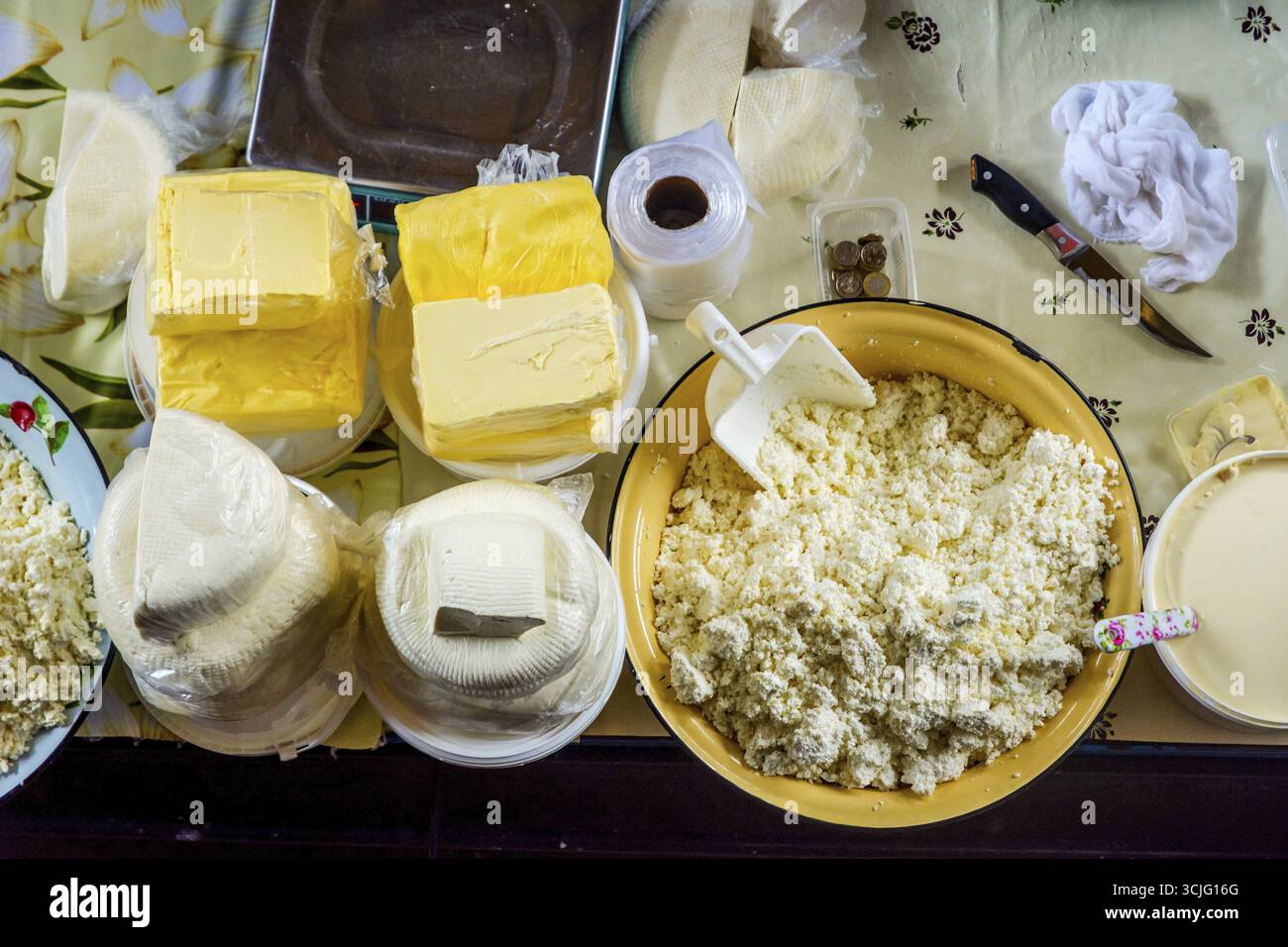 In casa i prodotti lattiero-caseari in vendita. Formaggio fresco, burro, panna, yogurt a Almaty bazaar verde Foto Stock