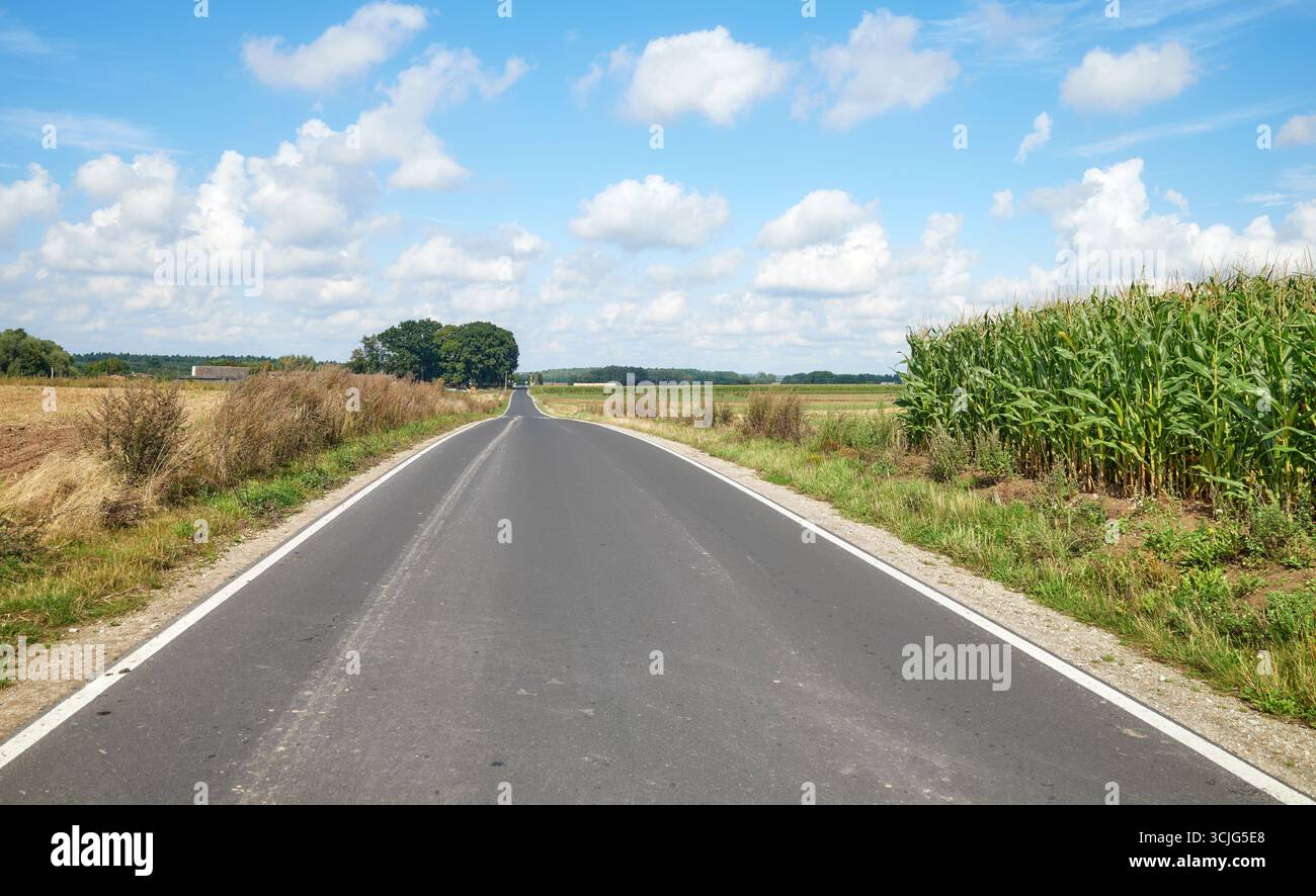 Una strada di asfalto rurale tra i campi, Polonia. Foto Stock