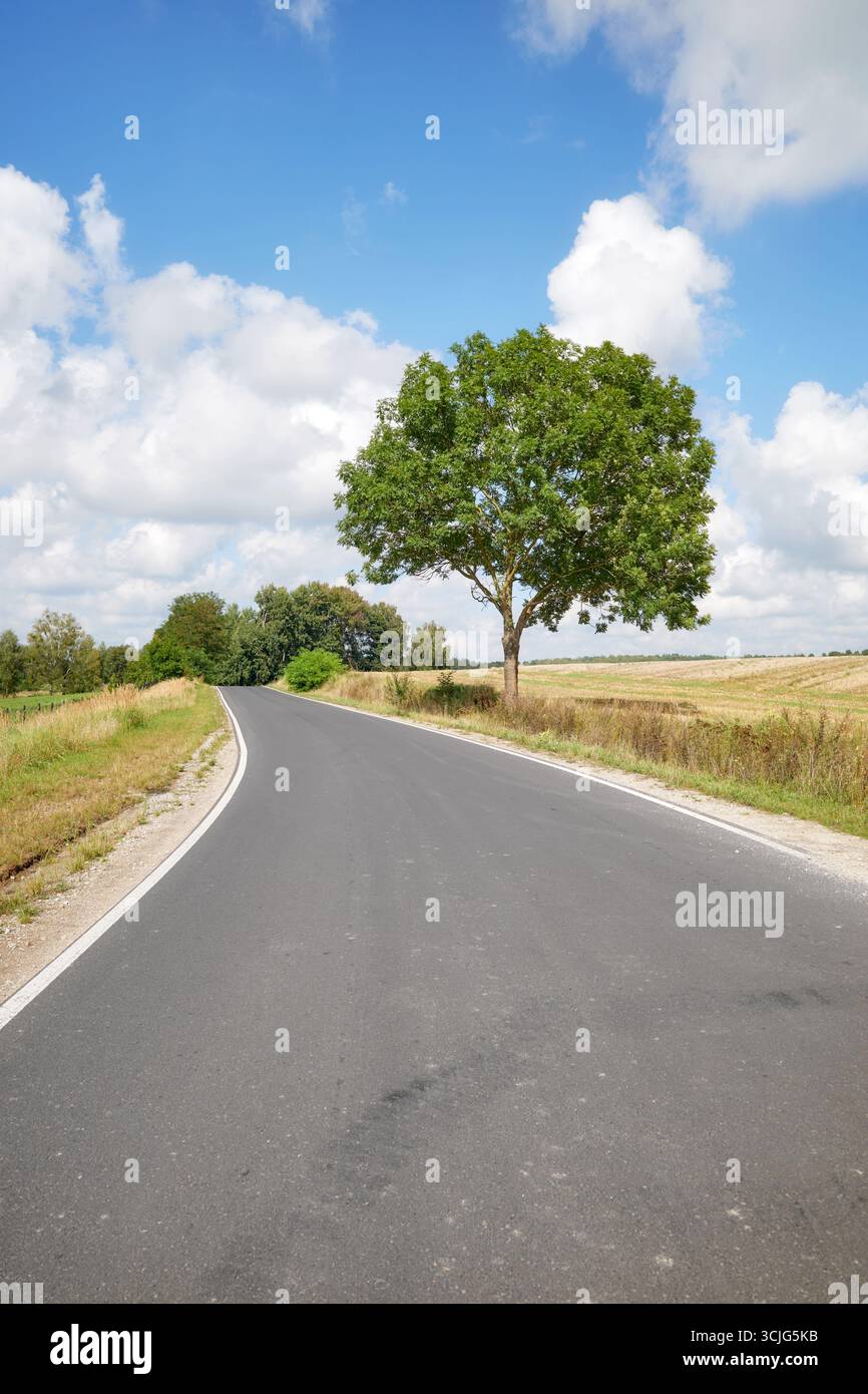 Una strada di asfalto rurale tra i campi, Polonia. Foto Stock