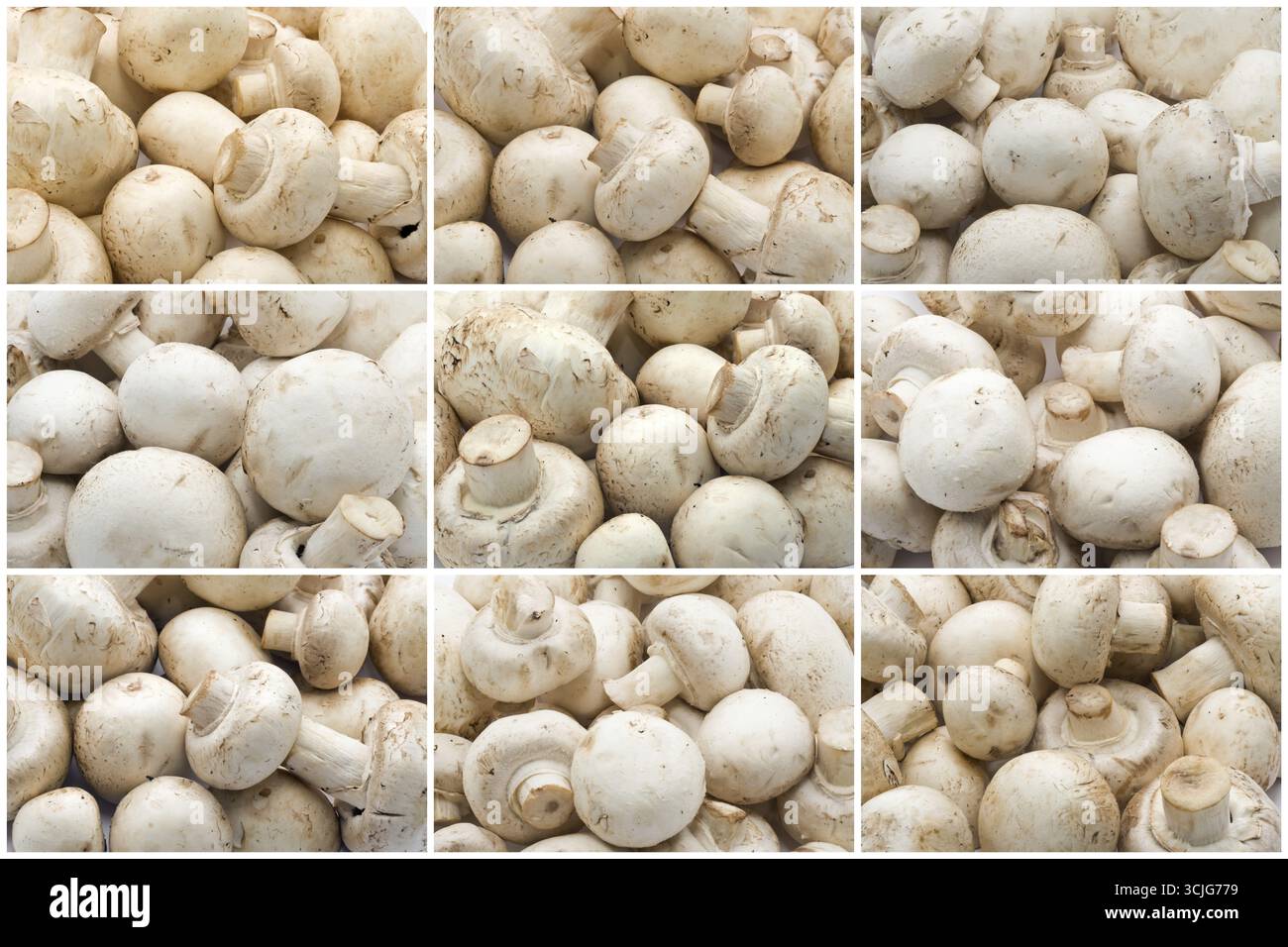 Funghi champignon rendendo cibo crudo sfondo pattern Foto Stock