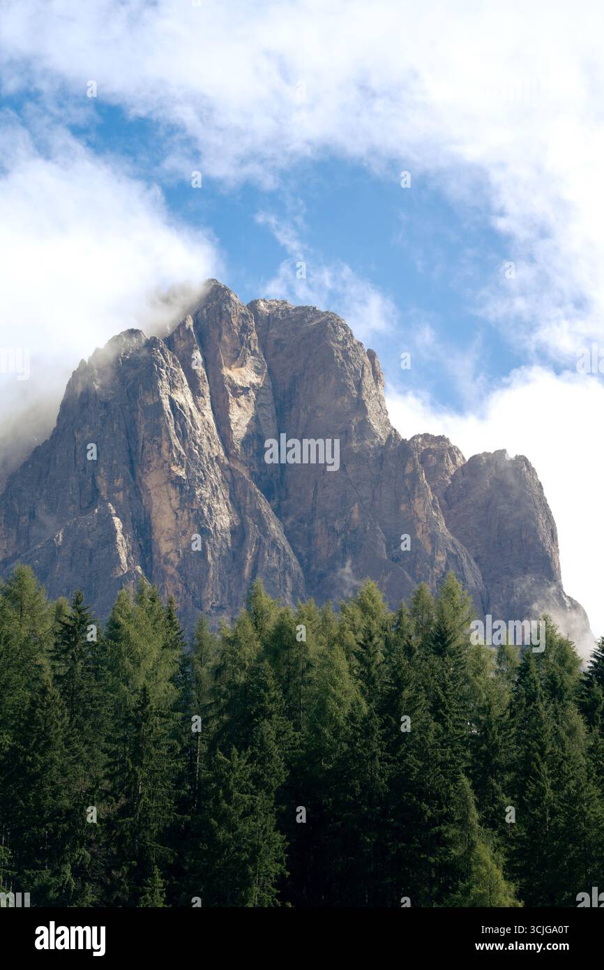 Sassolungo, montagna di Langkofel nelle alpi italiane sulle Dolomiti dietro verdi boschi di abeti nel pomeriggio con il sole che colpisce la scogliera e le nuvole Foto Stock
