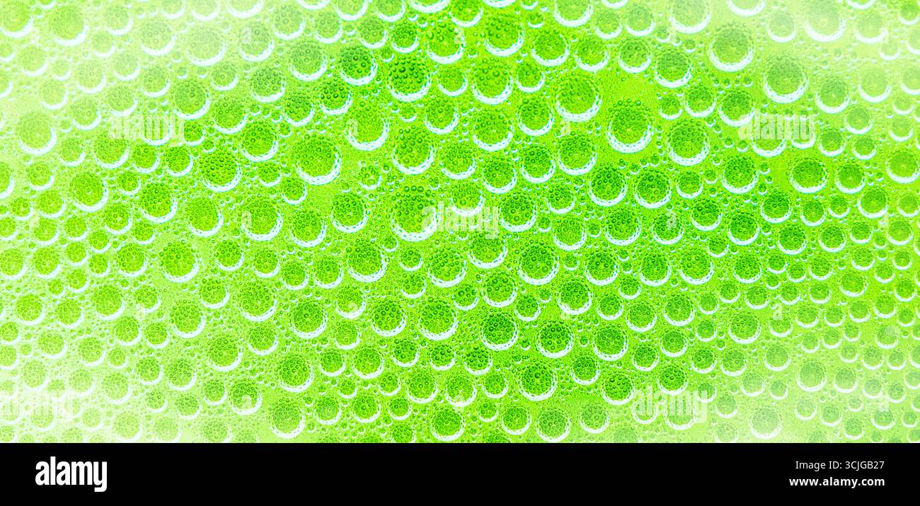 Gocce d'acqua astratte su sfondo verde. Bolla liquida, molecola, fondo schizzi d'acqua. Bolle d'acqua macro scintillanti. Foto Stock