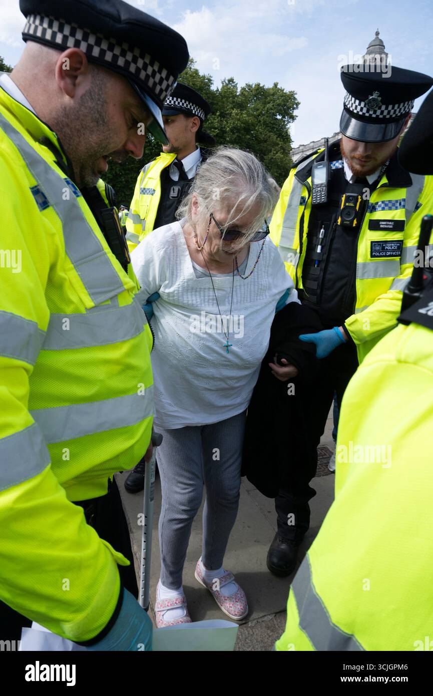 Londra. Westminster. Piazza del Parlamento. 6 settembre 2025. A una protesta organizzata da difendere le nostre giurie contro la proscrizione di azione Palestina, Foto Stock