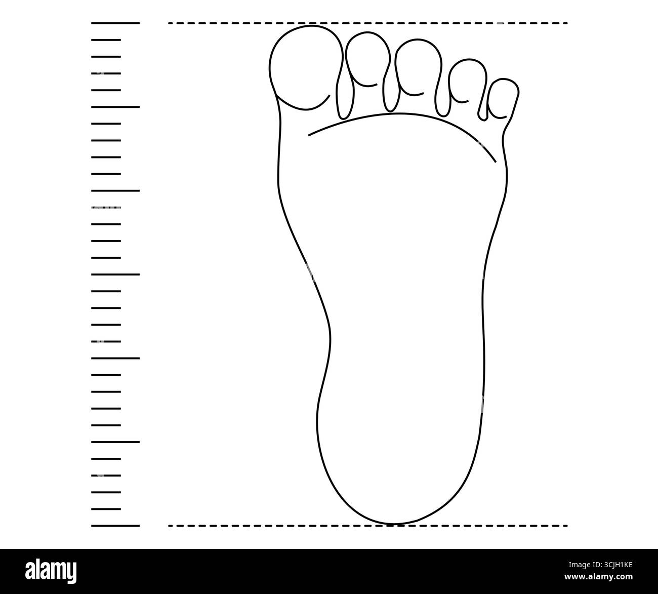 Misura del piede, misura della lunghezza del pattino. Controllo delle calzature. Lunghezza e larghezza del predellino sul righello. Disegno semplice della linea. Illustrazione vettoriale Illustrazione Vettoriale