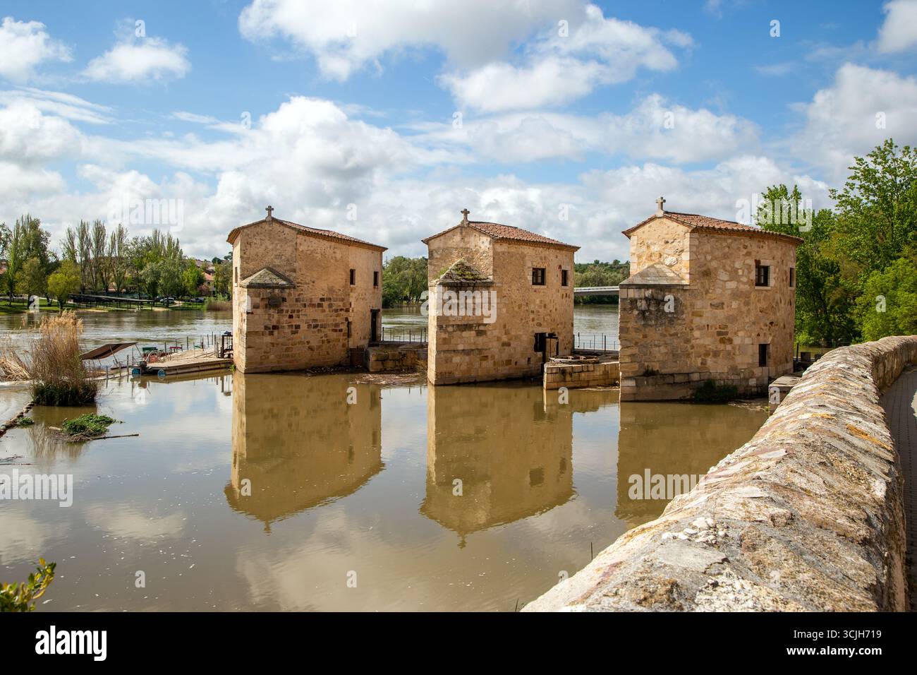 I tre mulini ad acqua restaurati sul fiume Douro nella città spagnola di Zamora in Spagna Foto Stock