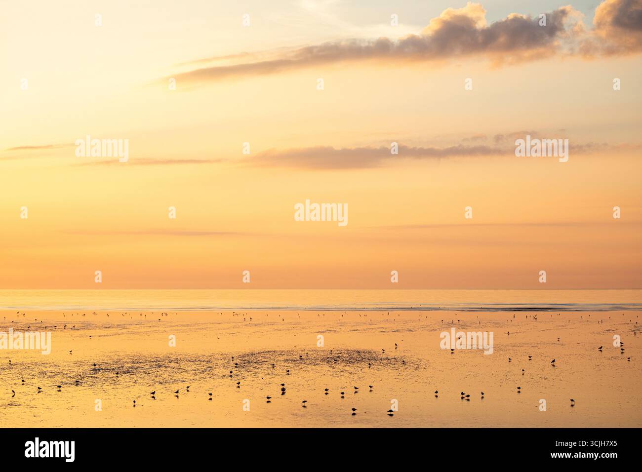 Alba tranquilla, tranquilla e tranquilla sul Mare d'Irlanda nella baia di Dublino Foto Stock