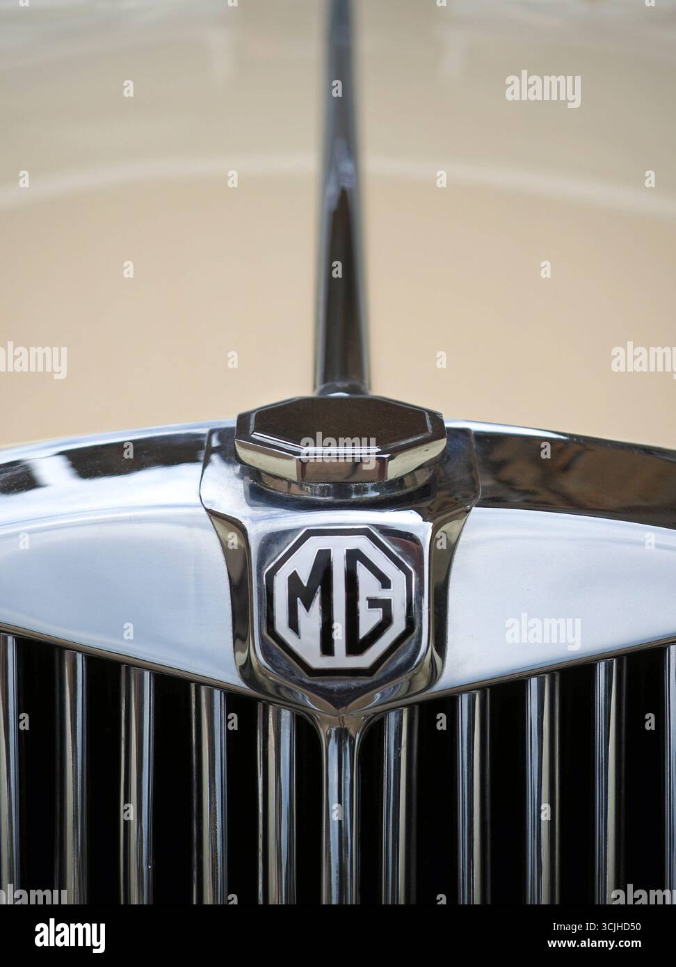 Dettagli del cofano Classic MG Foto Stock