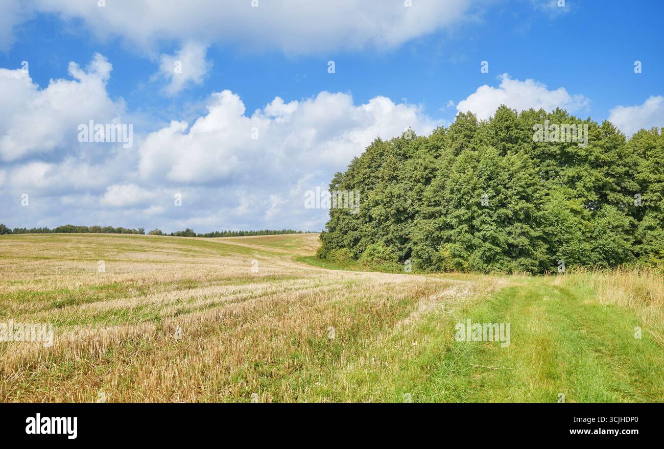 Paesaggio rurale in una giornata di sole, Polonia. Foto Stock