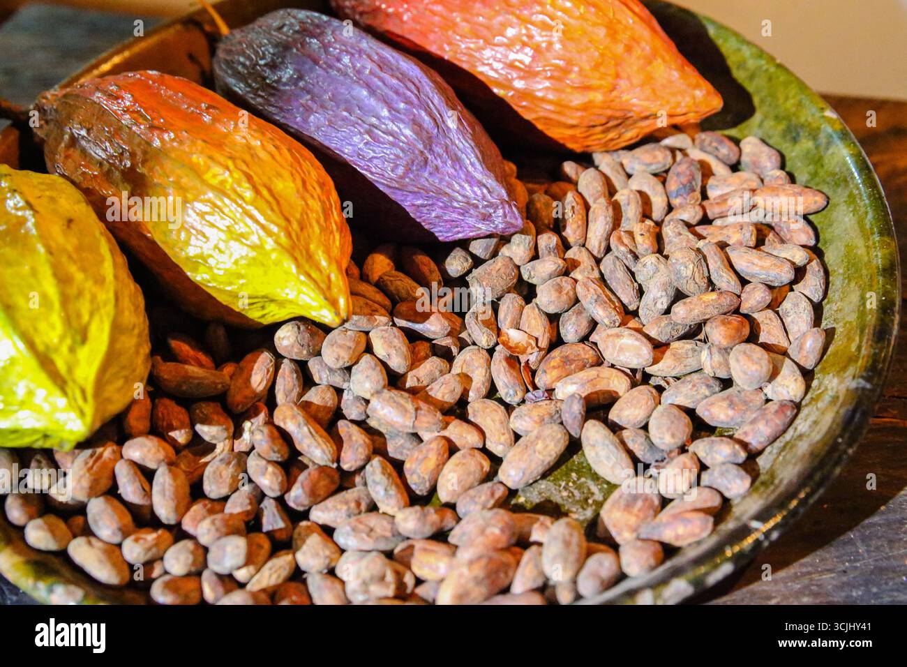 Ciudad Mitad del Mundo, Quito, Ecuador – 2018: Mostra degli equatori in Ecuador con baccelli e fagioli colorati di cacao segnaletica del monumento equatoriale Foto Stock