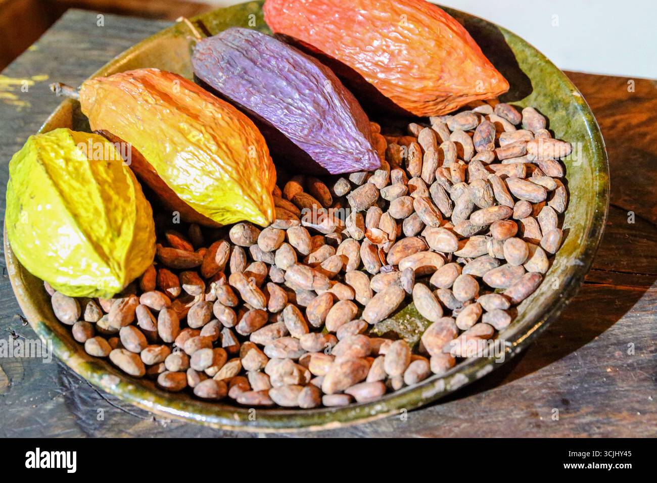 Ciudad Mitad del Mundo, Quito, Ecuador – 2018: Mostra degli equatori in Ecuador con baccelli e fagioli colorati di cacao segnaletica del monumento equatoriale Foto Stock