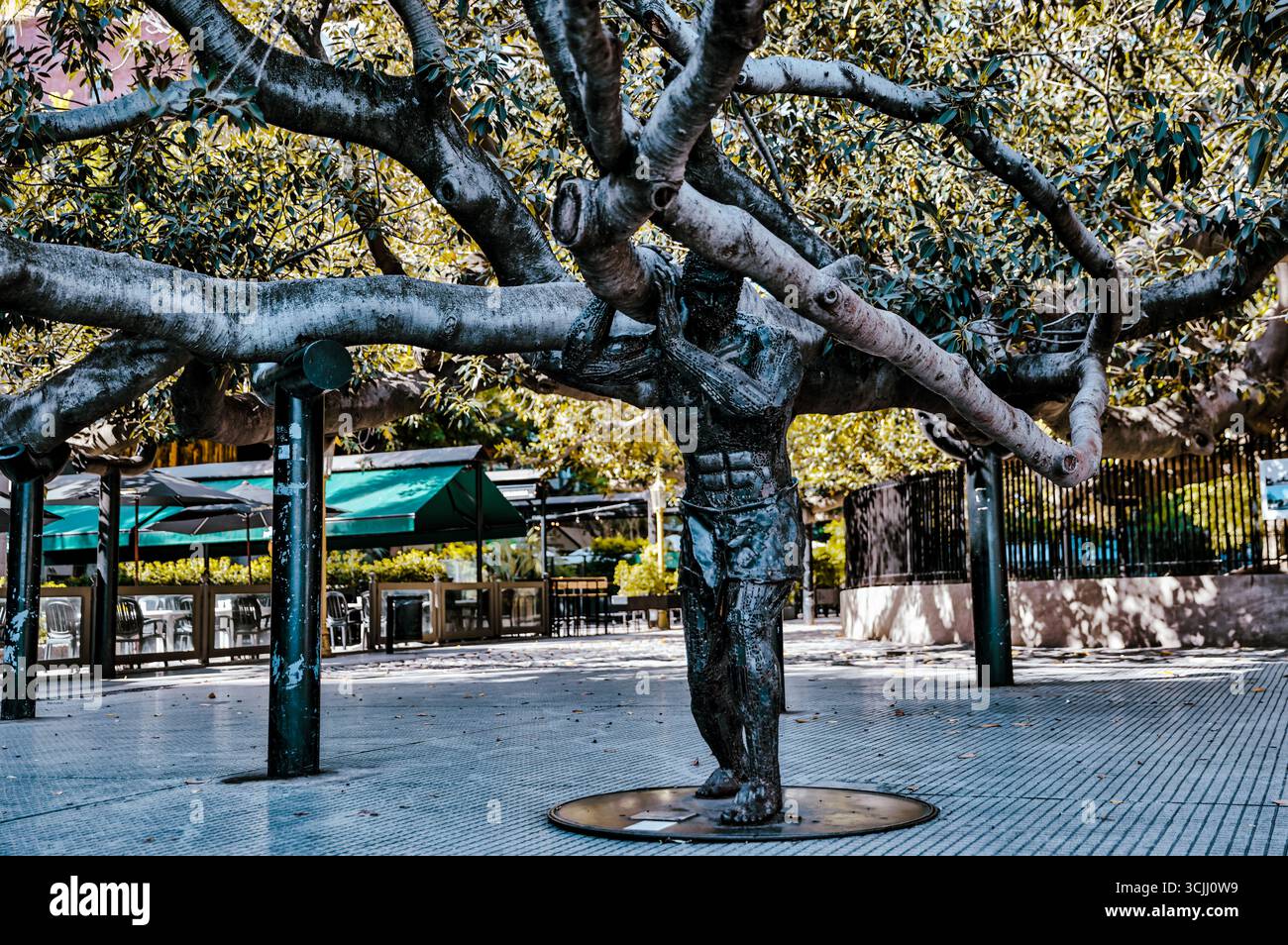 Buenos Aires, Argentina - 21 dicembre 2022: Statua in bronzo di Jorge Luis Borges che tiene i rami d'albero in Plaza San Martín, dell'artista Fernando Pugliese Foto Stock
